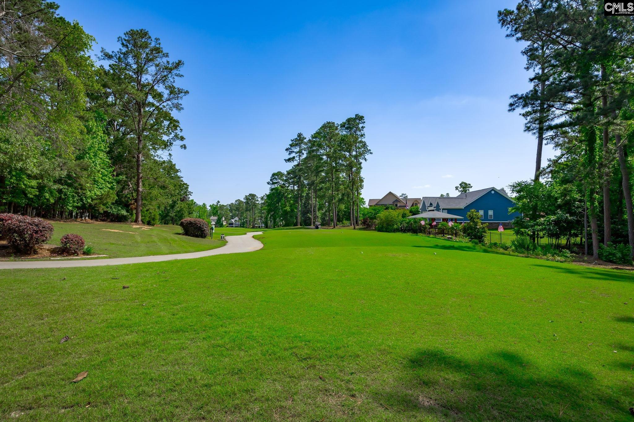 506 Timberlake Drive, Chapin, South Carolina image 26