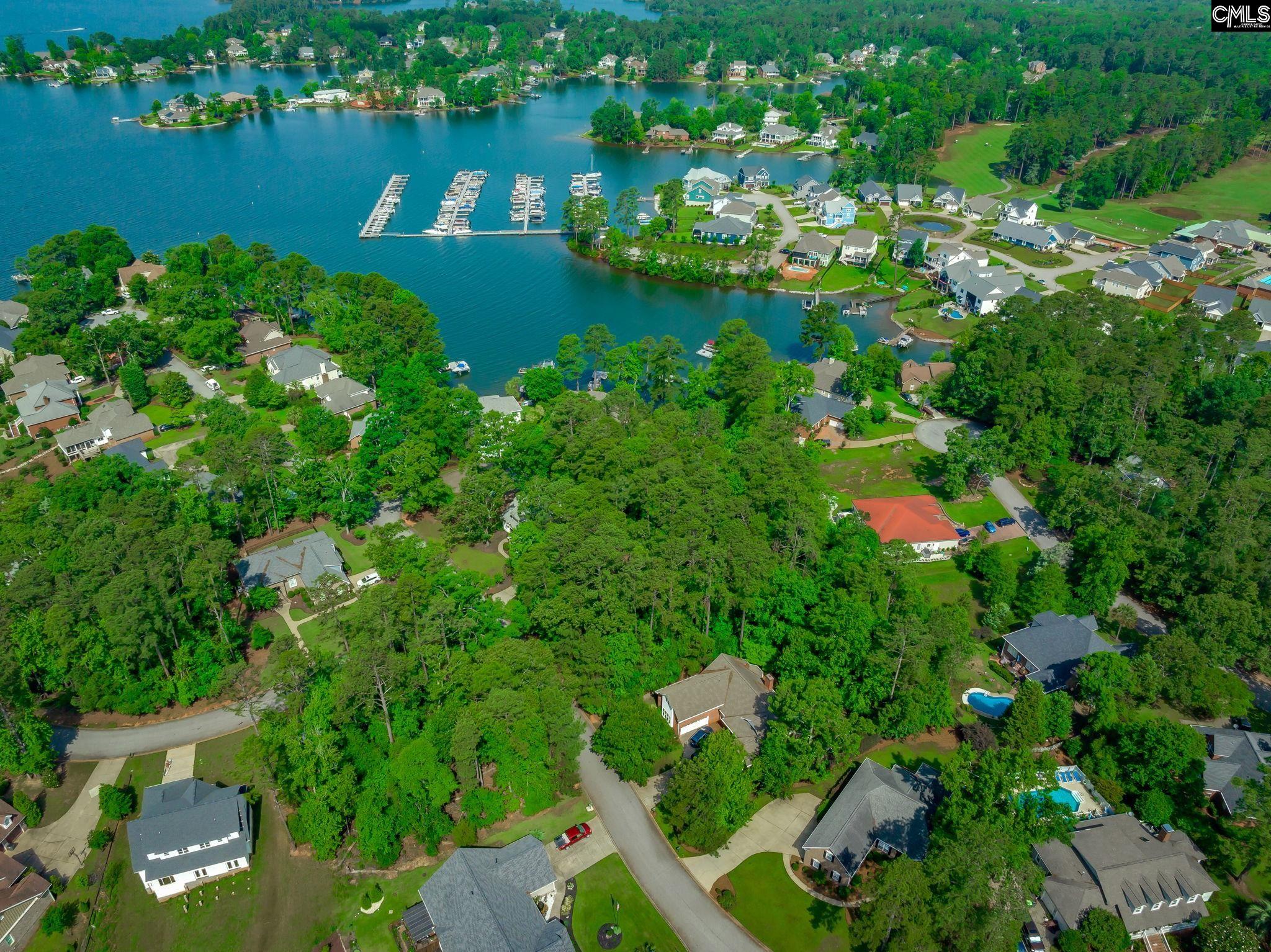 506 Timberlake Drive, Chapin, South Carolina image 4