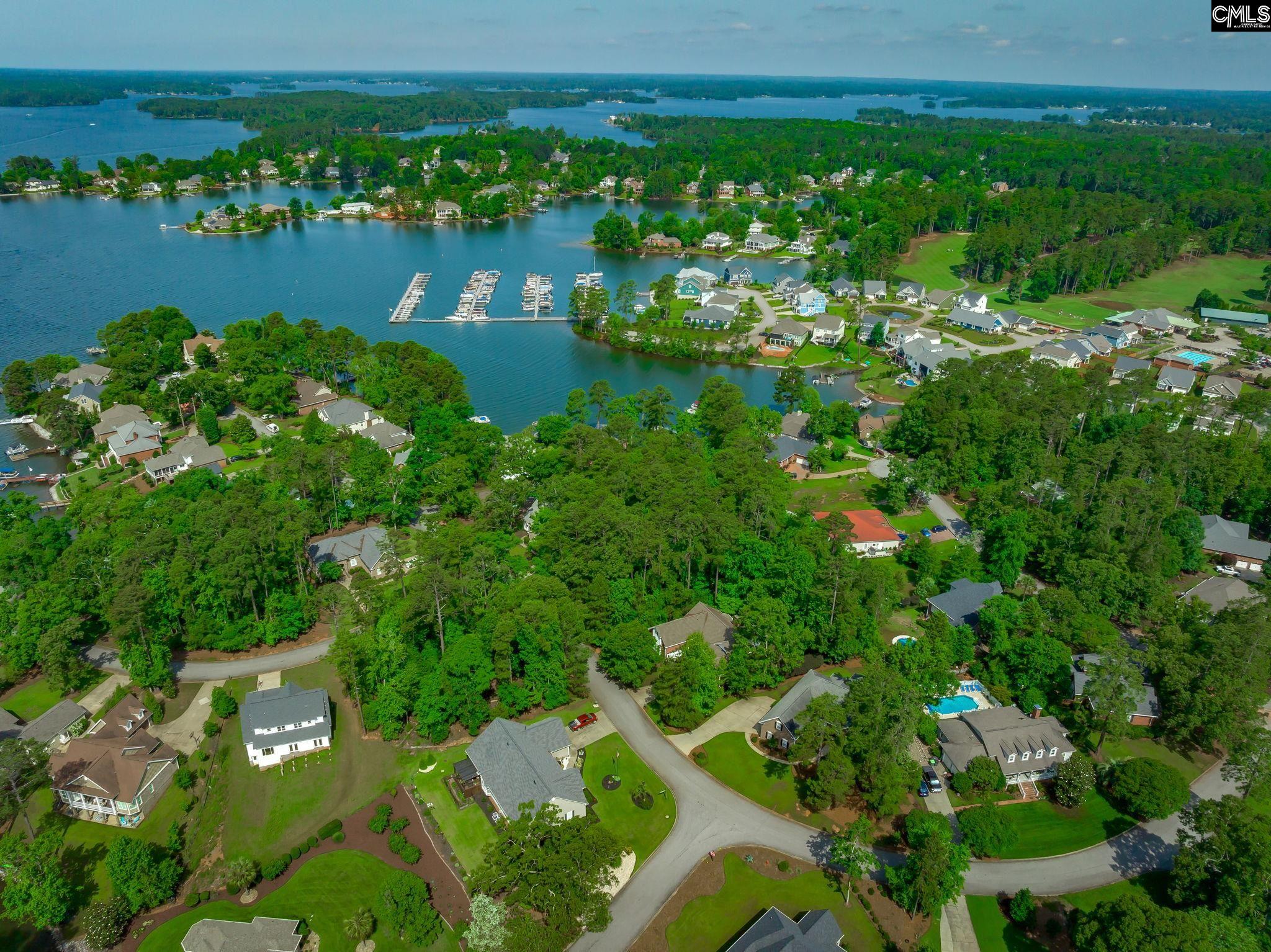 506 Timberlake Drive, Chapin, South Carolina image 6