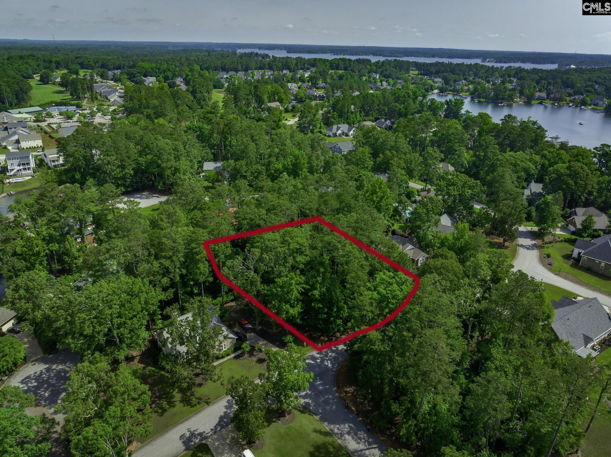 506 Timberlake Drive, Chapin, South Carolina image 7