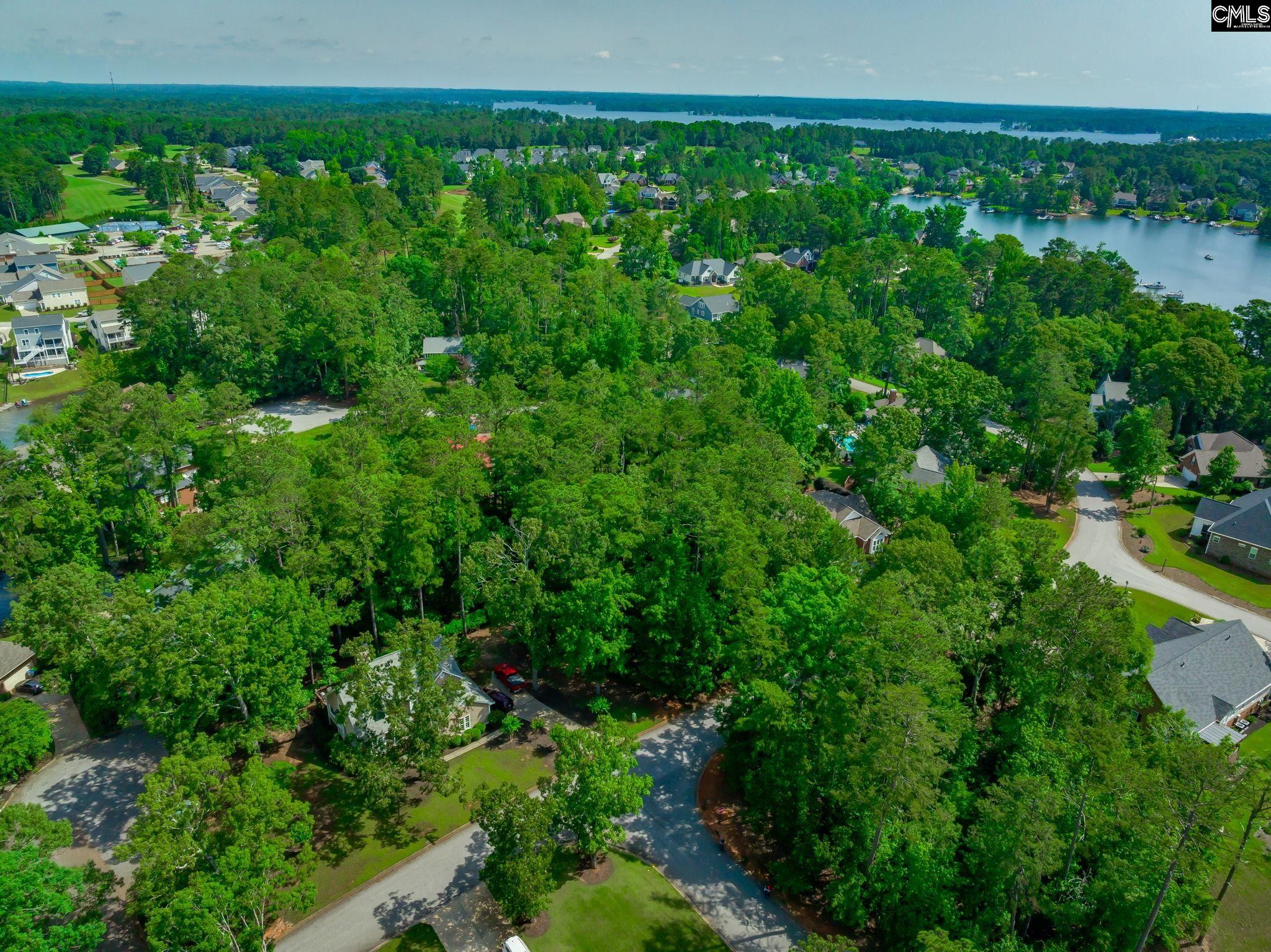506 Timberlake Drive, Chapin, South Carolina image 8