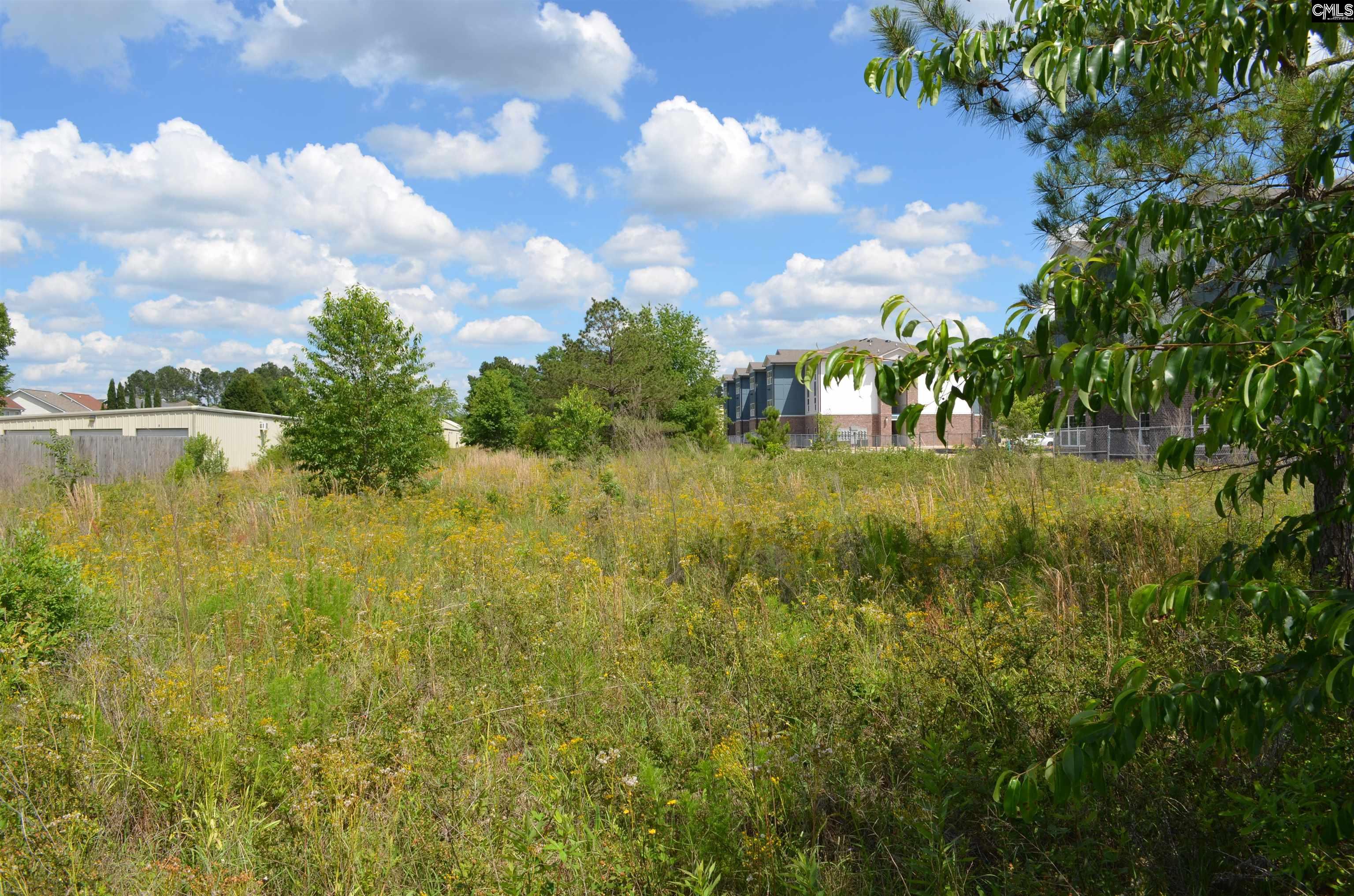 229 Charter Oak Road Lexington, SC 29072