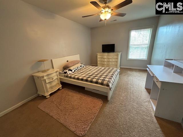 404 Coopers Edge Lane, Blythewood, South Carolina image 15