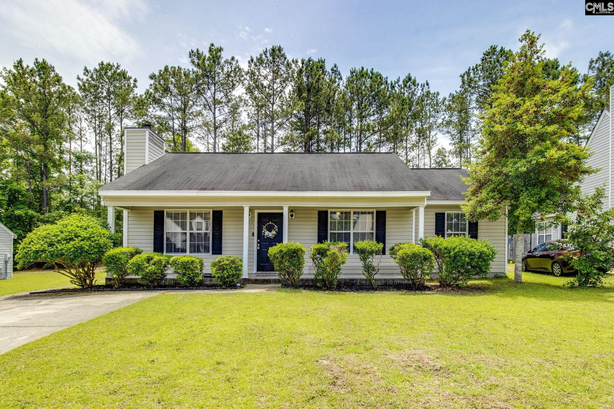 203 Tilting Rock Drive, Hopkins, South Carolina image 1