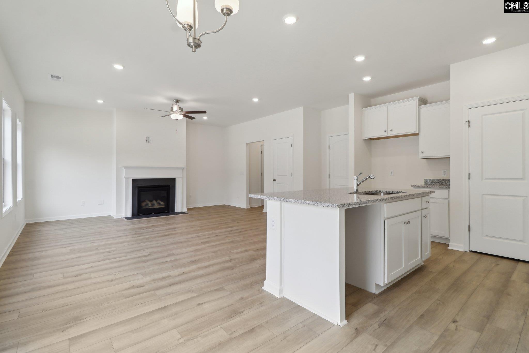 1076 Flat Coat Lane, Chapin, South Carolina image 12