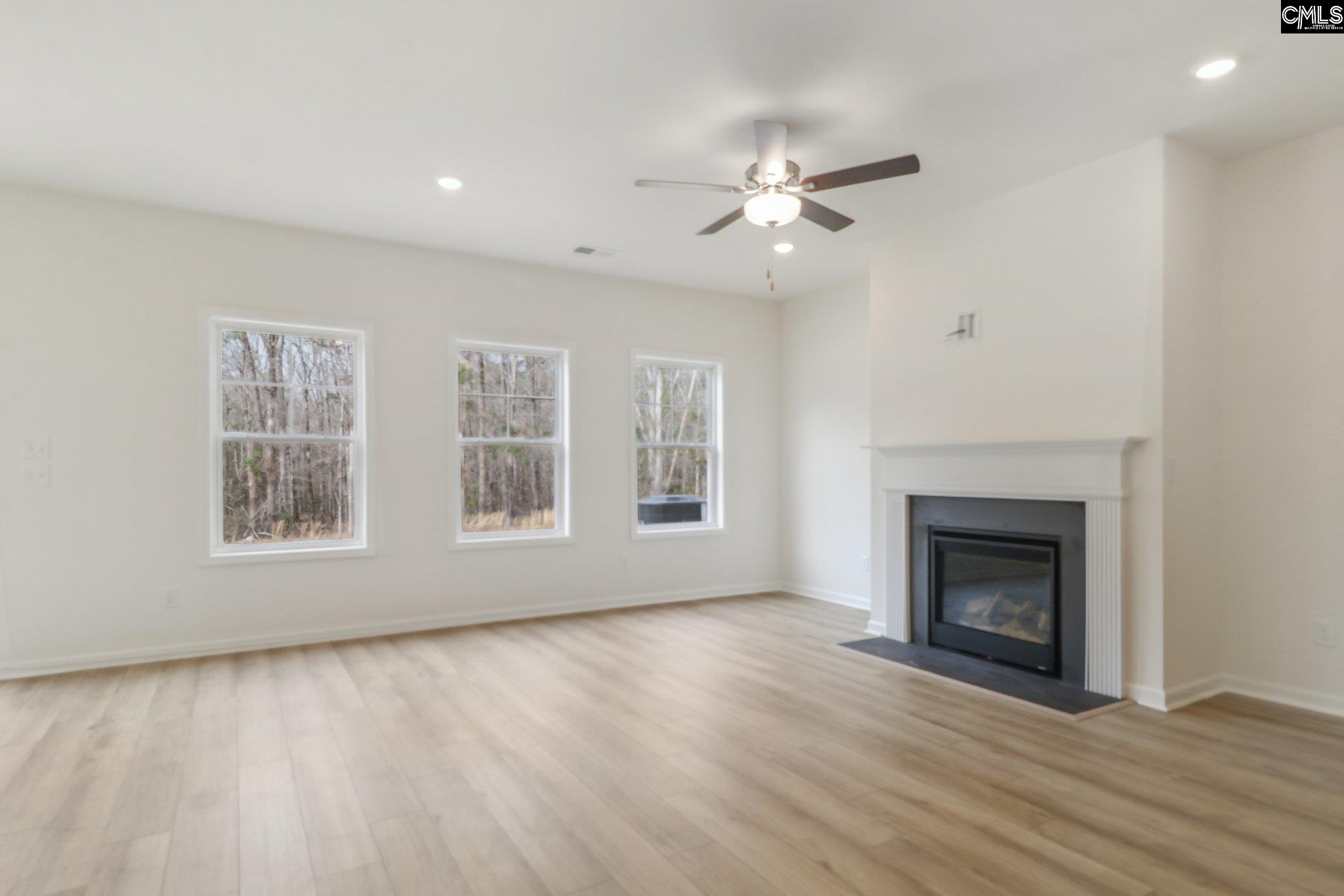 1076 Flat Coat Lane, Chapin, South Carolina image 15