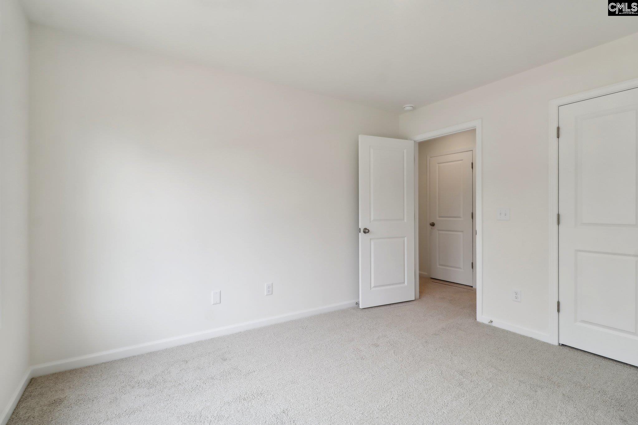1076 Flat Coat Lane, Chapin, South Carolina image 19