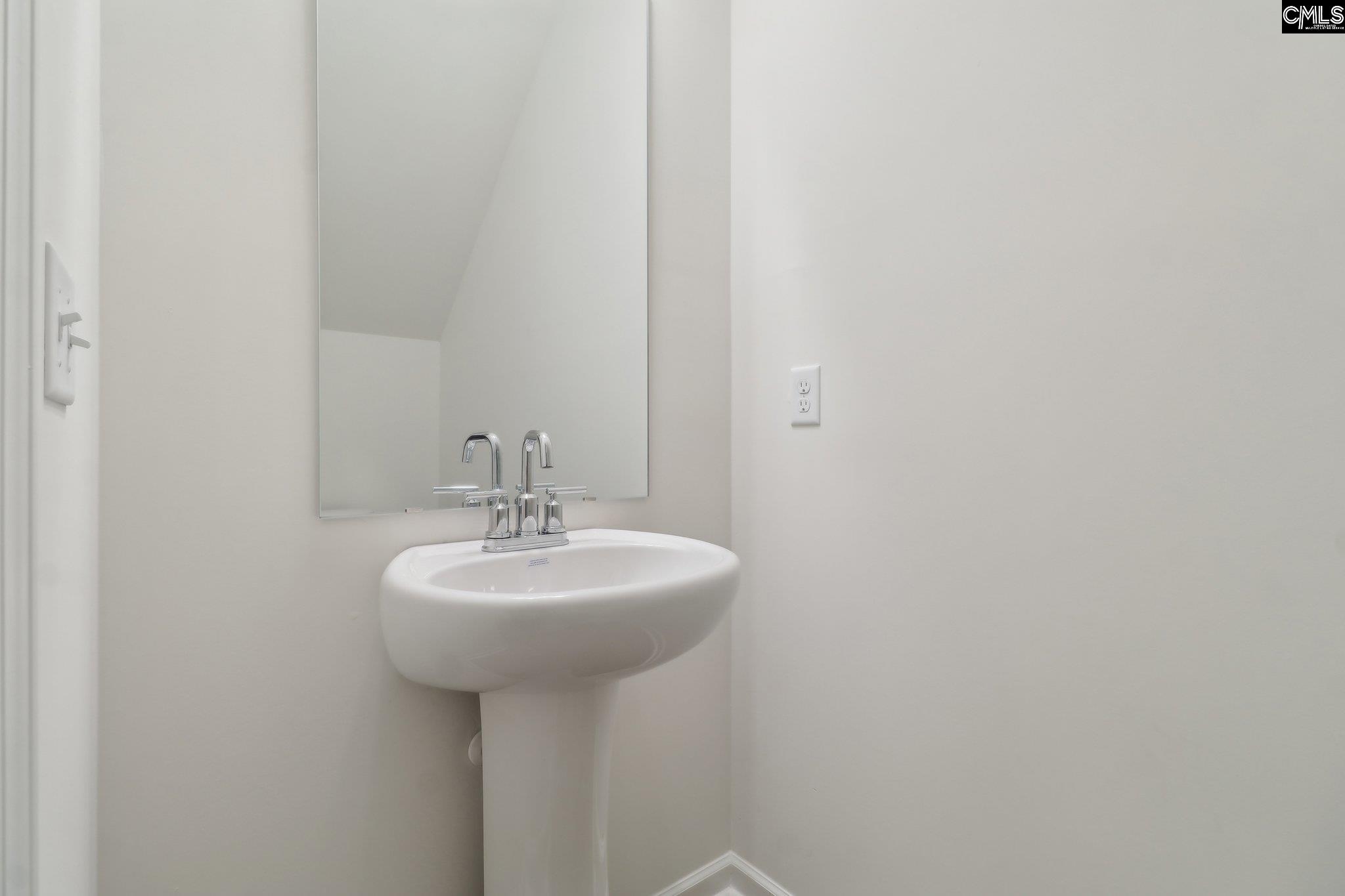 1076 Flat Coat Lane, Chapin, South Carolina image 3