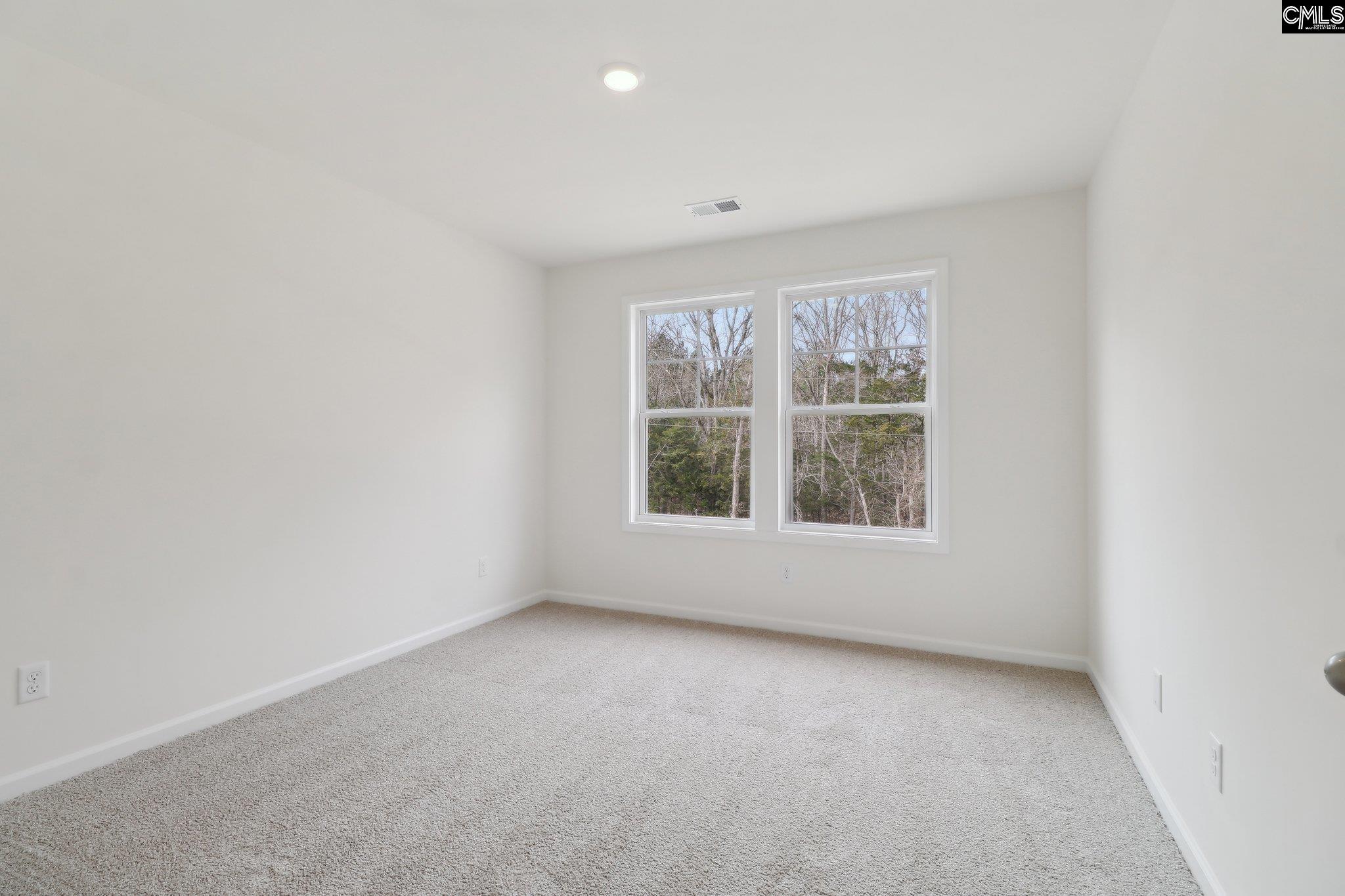 1076 Flat Coat Lane, Chapin, South Carolina image 22