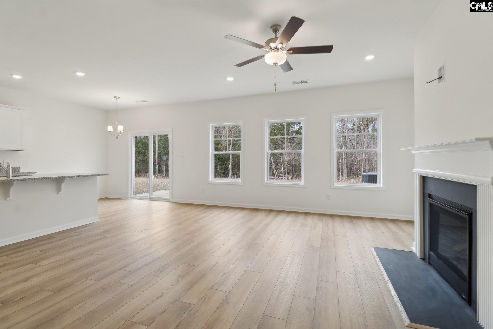 1076 Flat Coat Lane, Chapin, South Carolina image 4