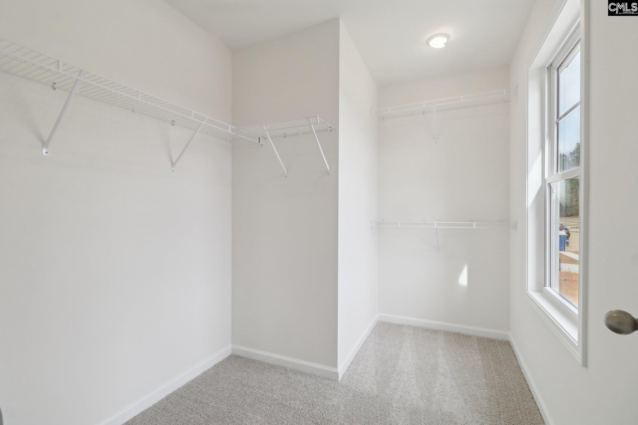 1076 Flat Coat Lane, Chapin, South Carolina image 34