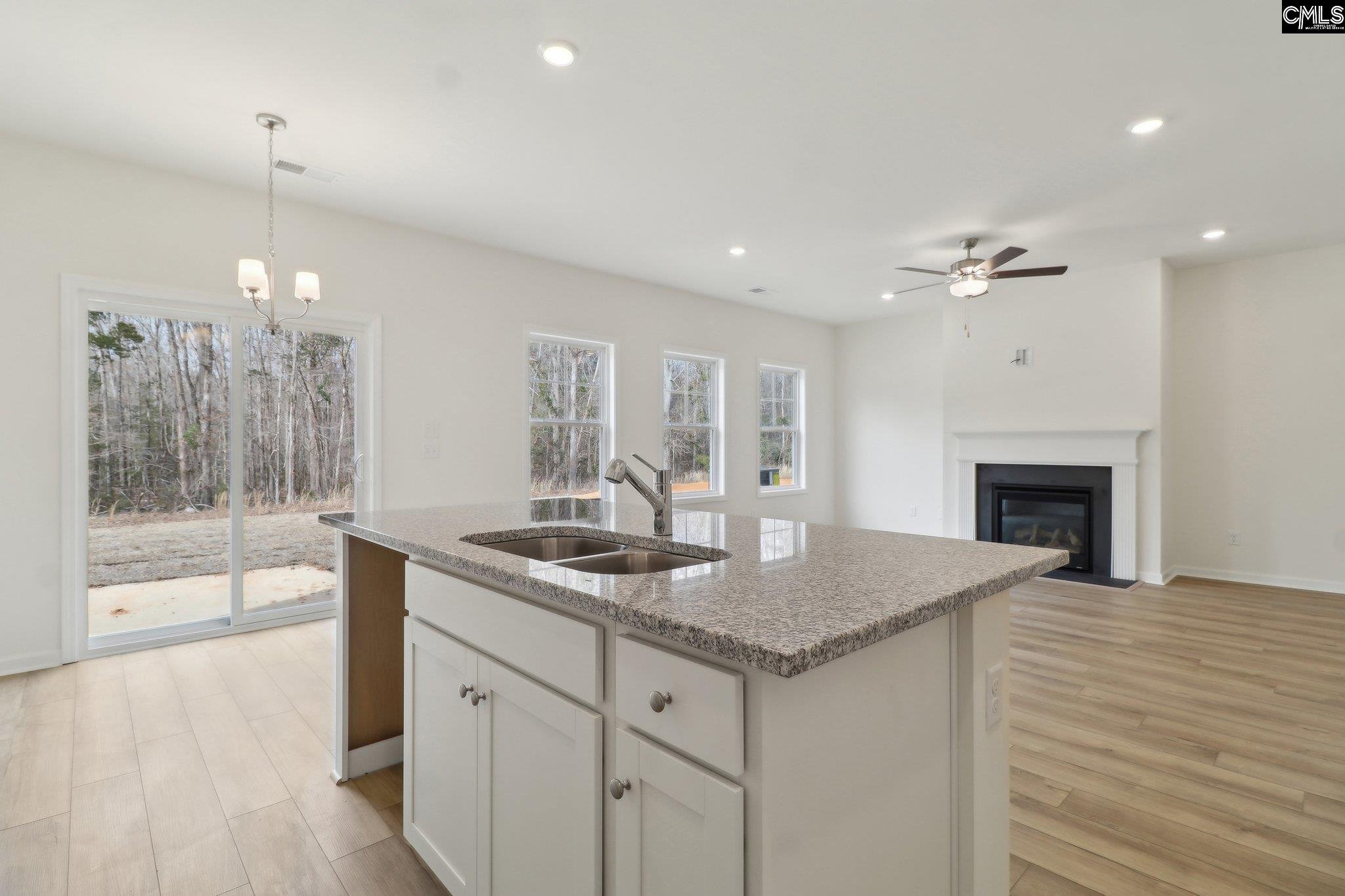 1076 Flat Coat Lane, Chapin, South Carolina image 9