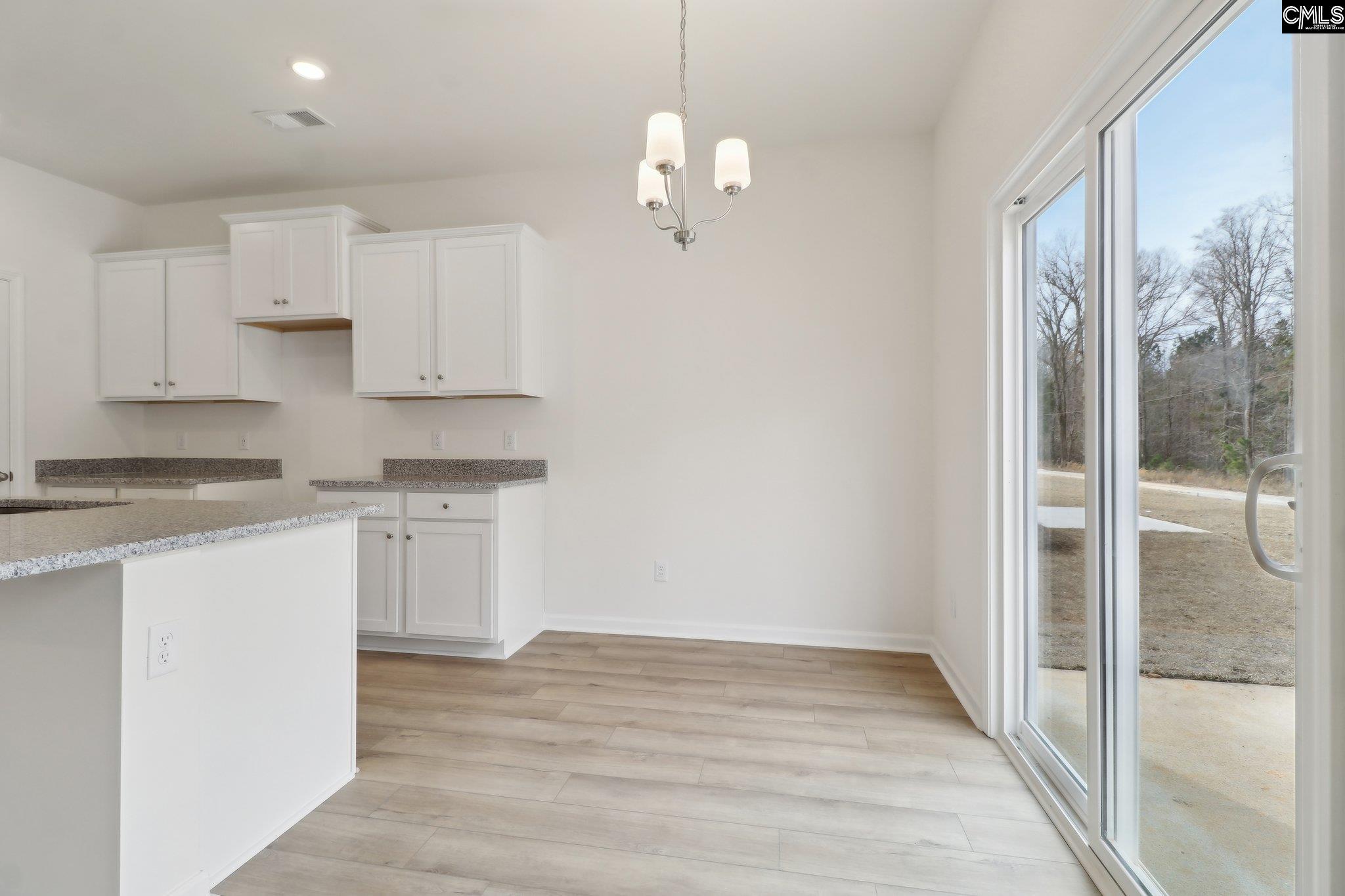 1076 Flat Coat Lane, Chapin, South Carolina image 10