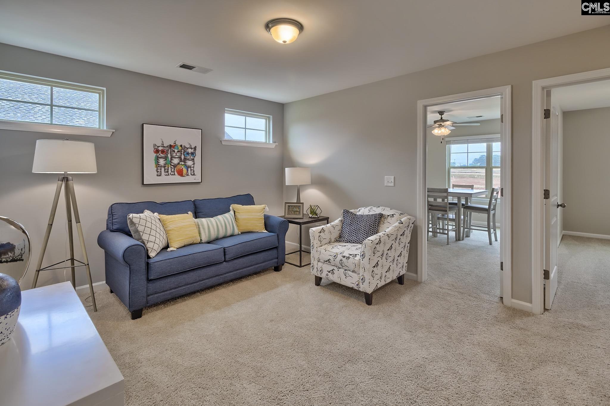 1080 Flat Coat Lane, Chapin, South Carolina image 17