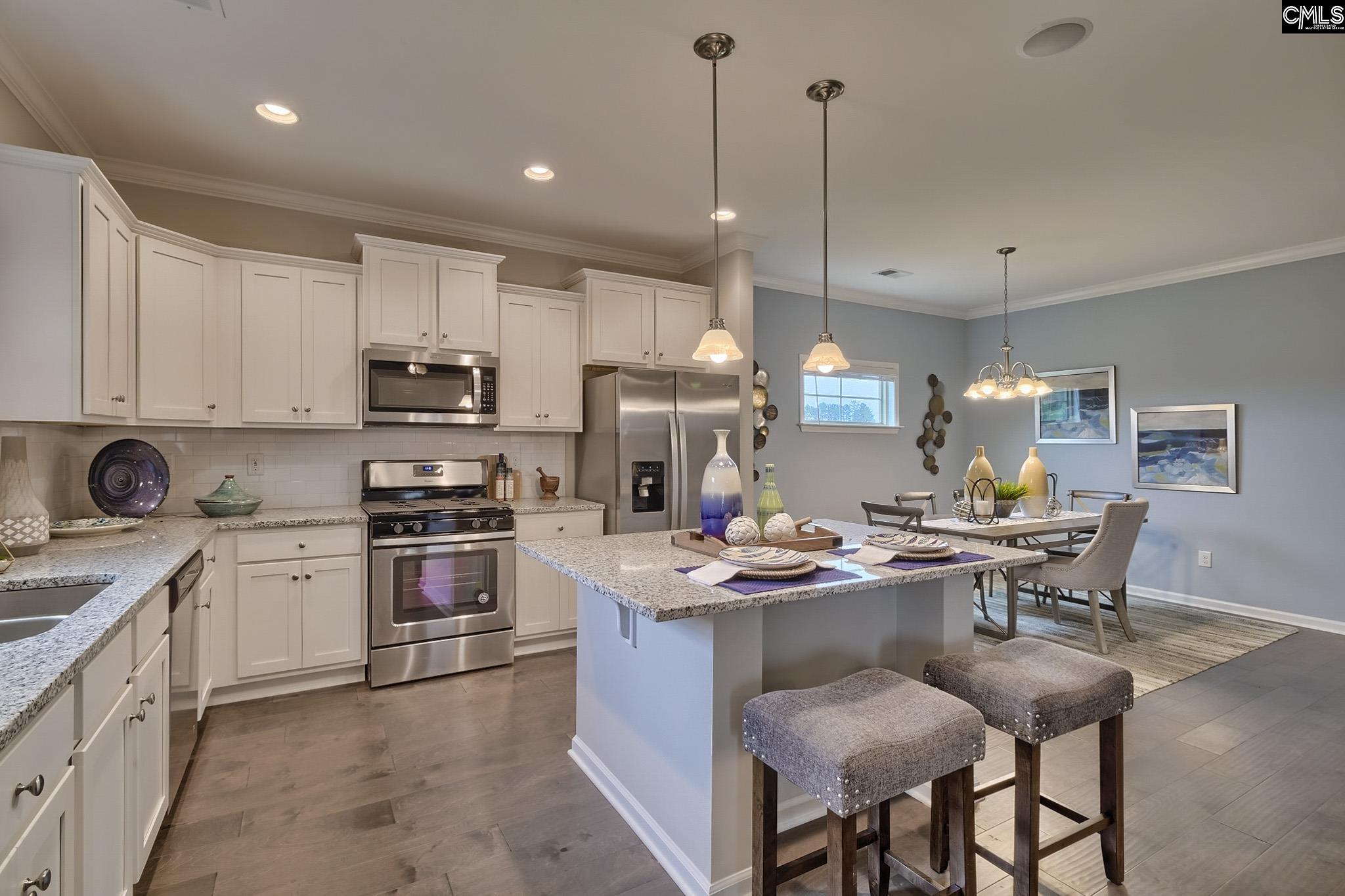1080 Flat Coat Lane, Chapin, South Carolina image 3