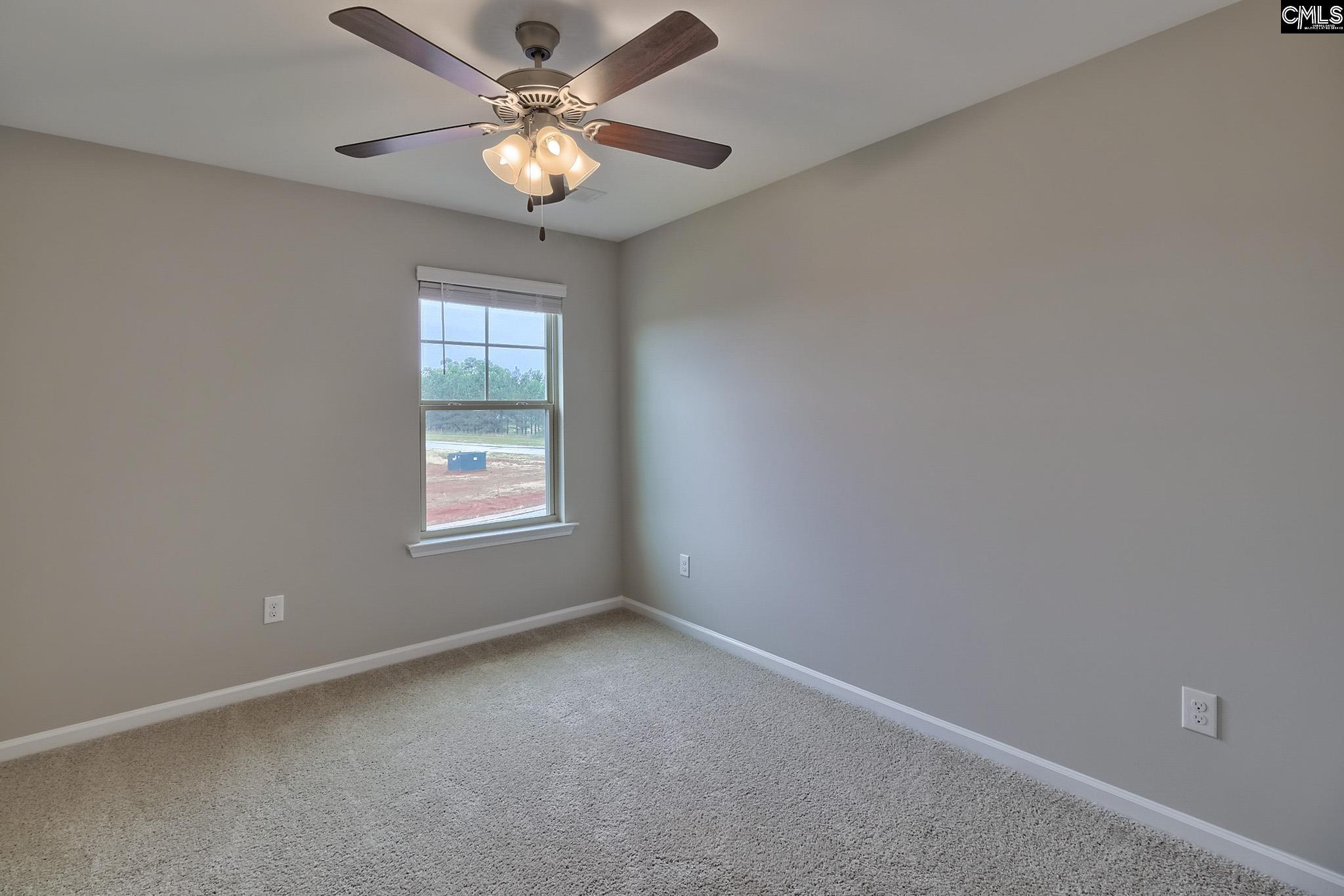1080 Flat Coat Lane, Chapin, South Carolina image 24