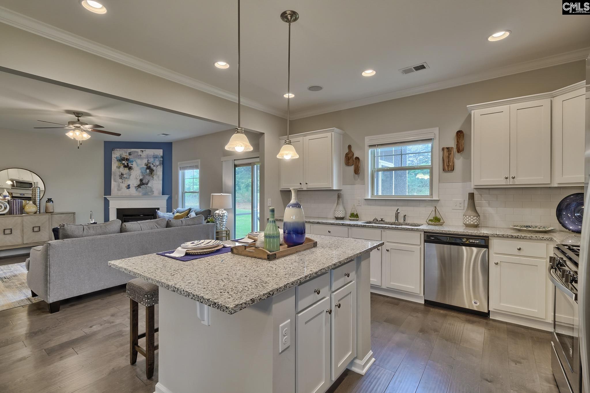 1080 Flat Coat Lane, Chapin, South Carolina image 5