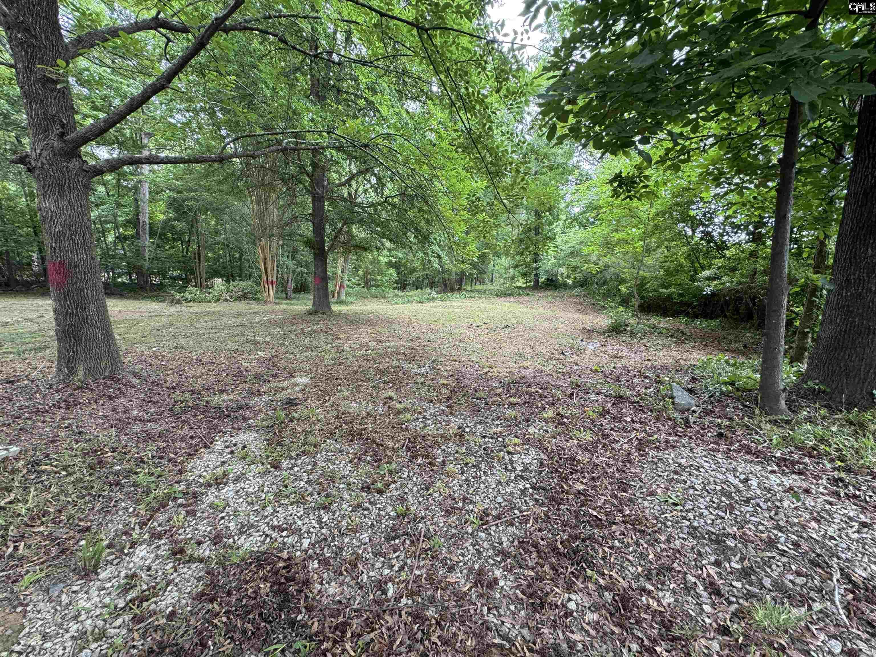 232 Cooper Road, Blythewood, South Carolina image 4