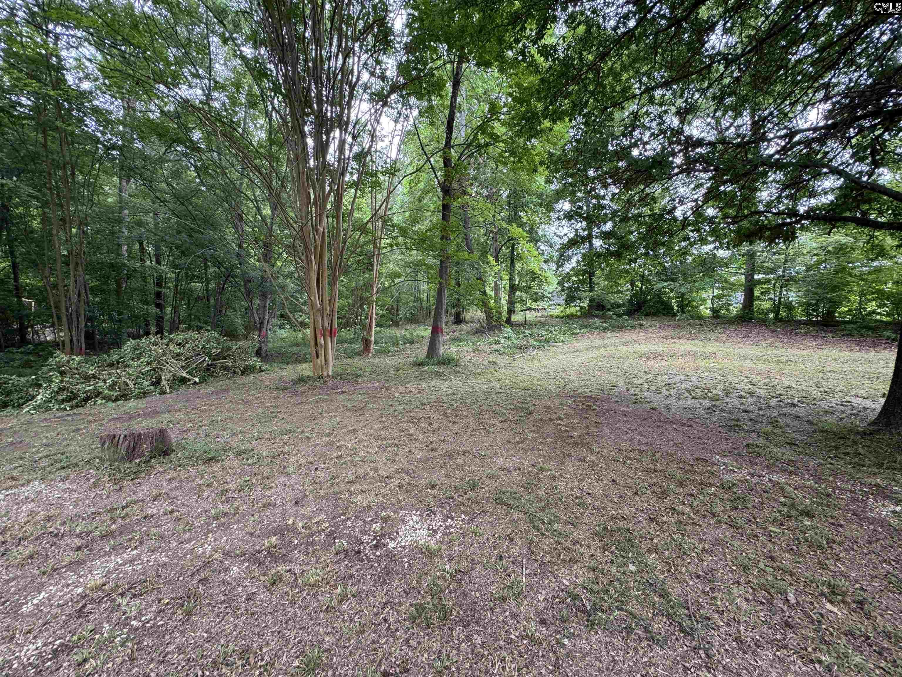 232 Cooper Road, Blythewood, South Carolina image 5
