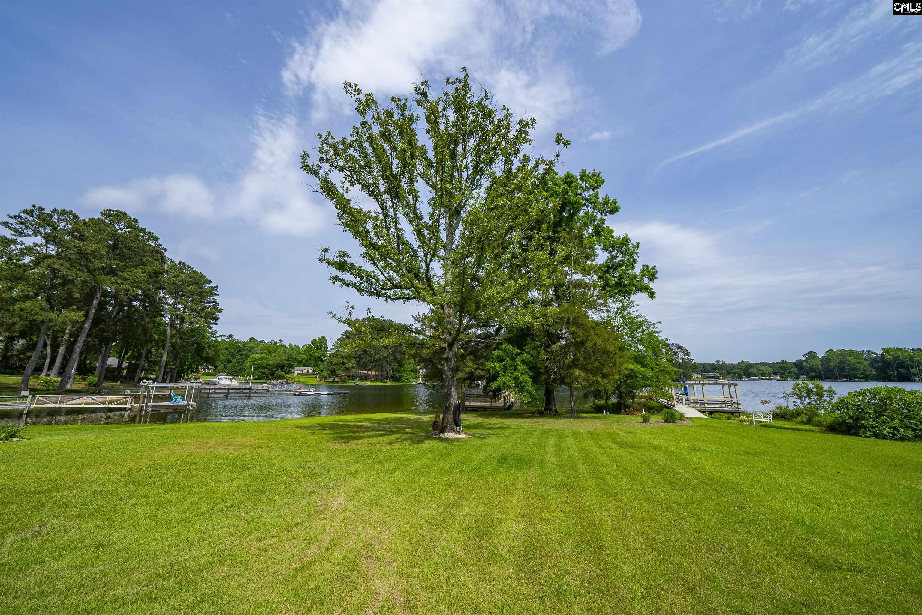 709 Caro Court, Chapin, South Carolina image 15