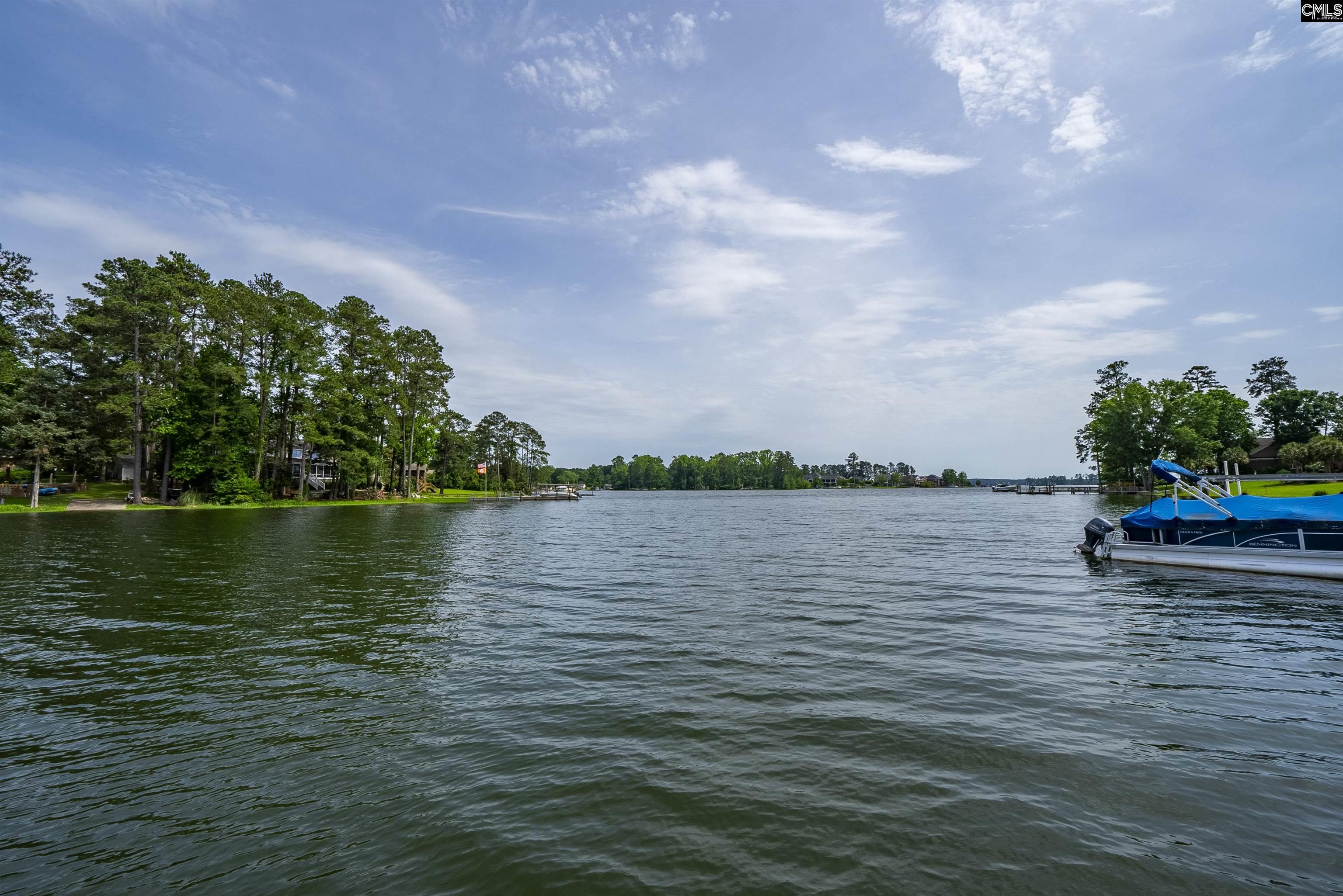 709 Caro Court, Chapin, South Carolina image 23