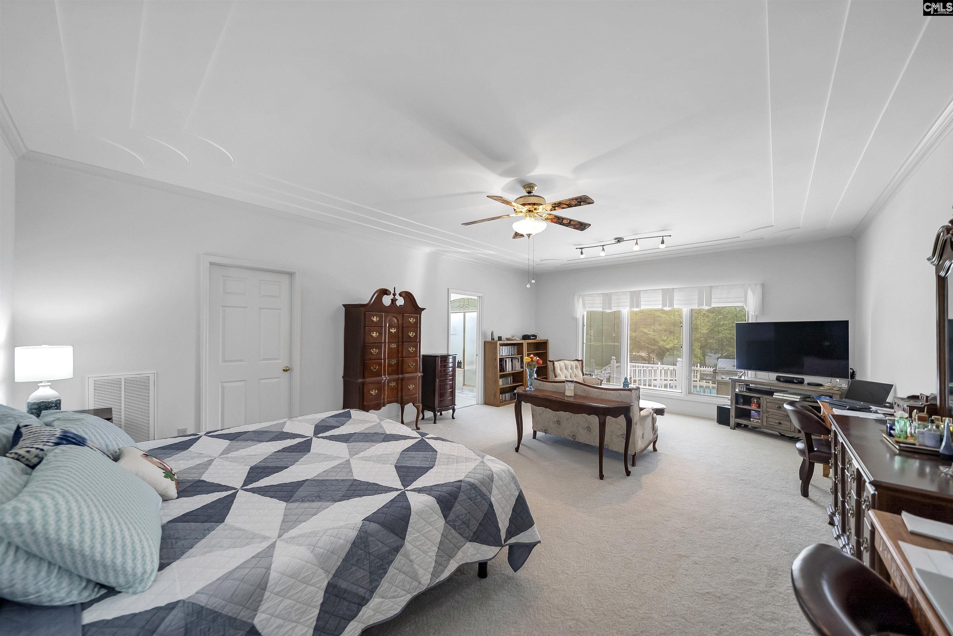 709 Caro Court, Chapin, South Carolina image 37