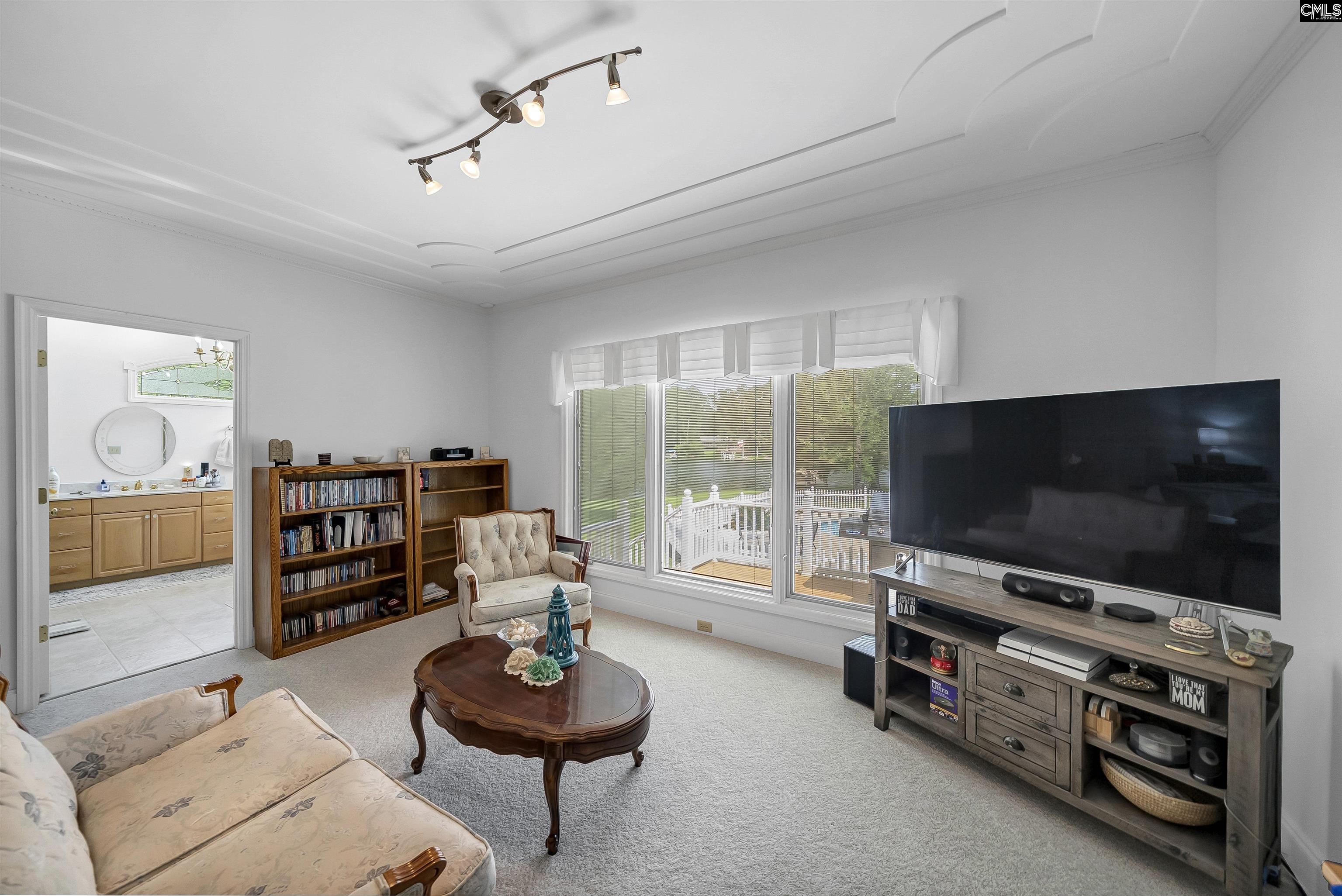 709 Caro Court, Chapin, South Carolina image 39