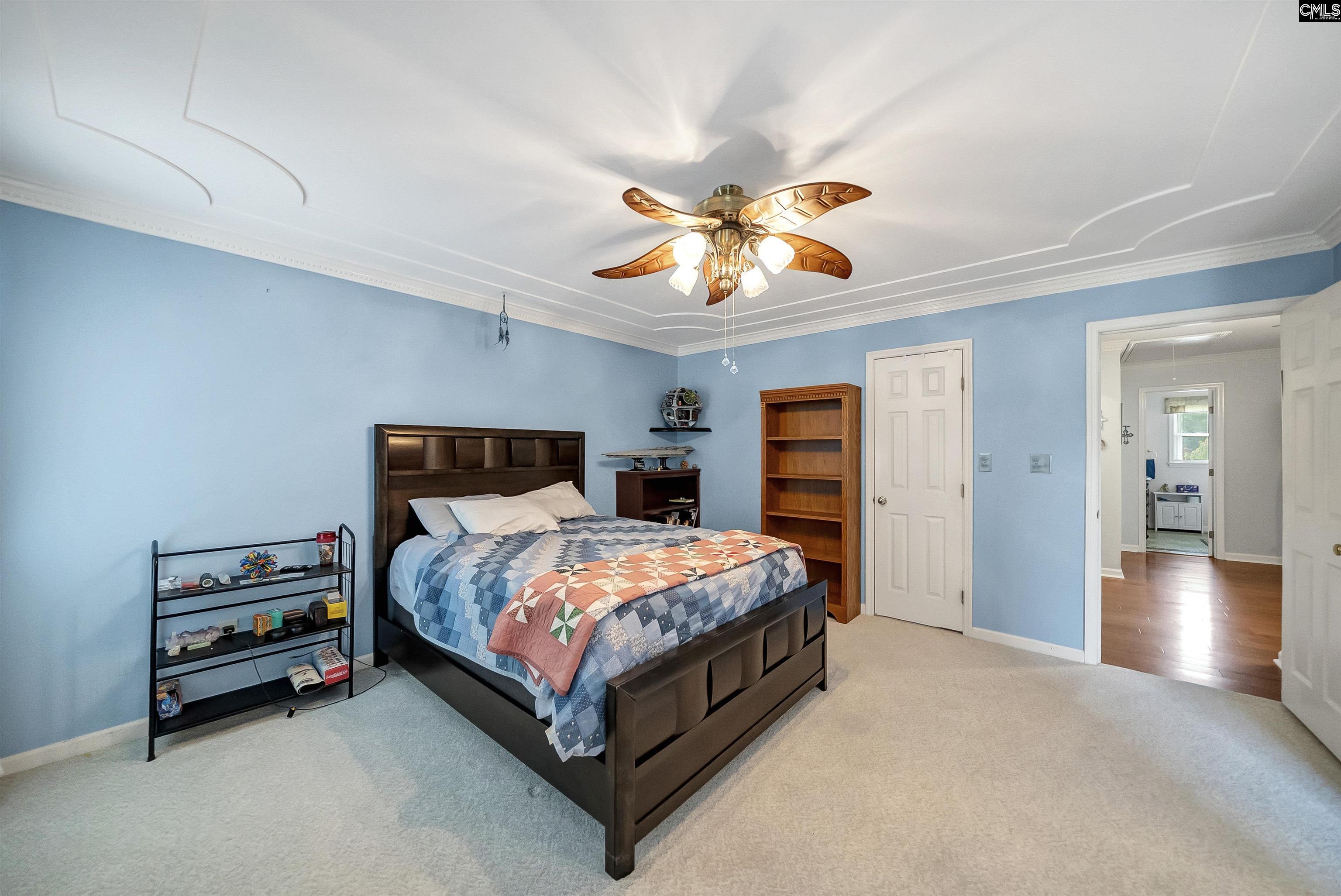 709 Caro Court, Chapin, South Carolina image 46