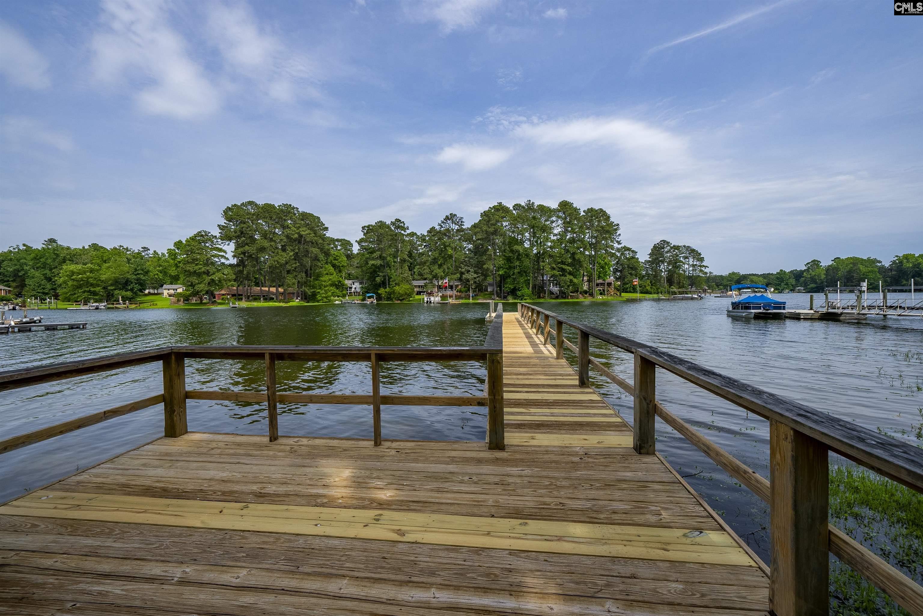 709 Caro Court, Chapin, South Carolina image 49