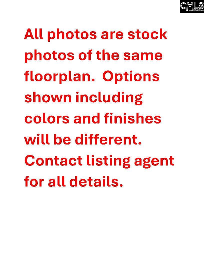 314 Rising Stream Way, Chapin, South Carolina image 2