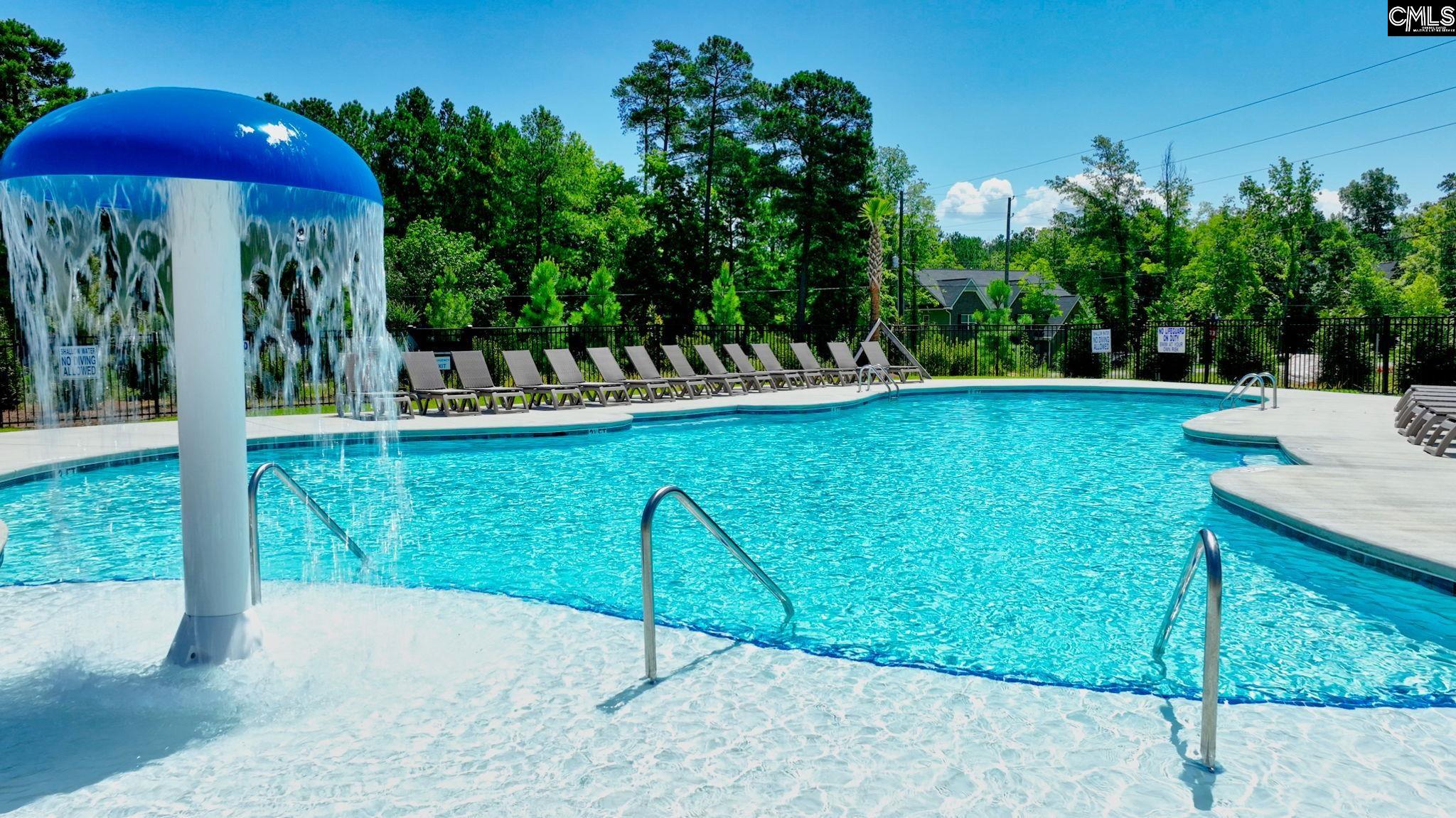 2359 Hadley Crossing, Chapin, South Carolina image 36