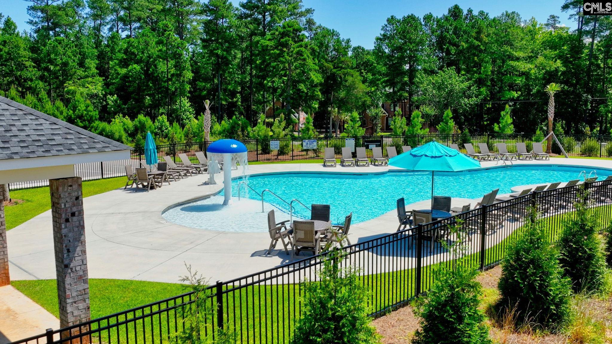 2359 Hadley Crossing, Chapin, South Carolina image 37