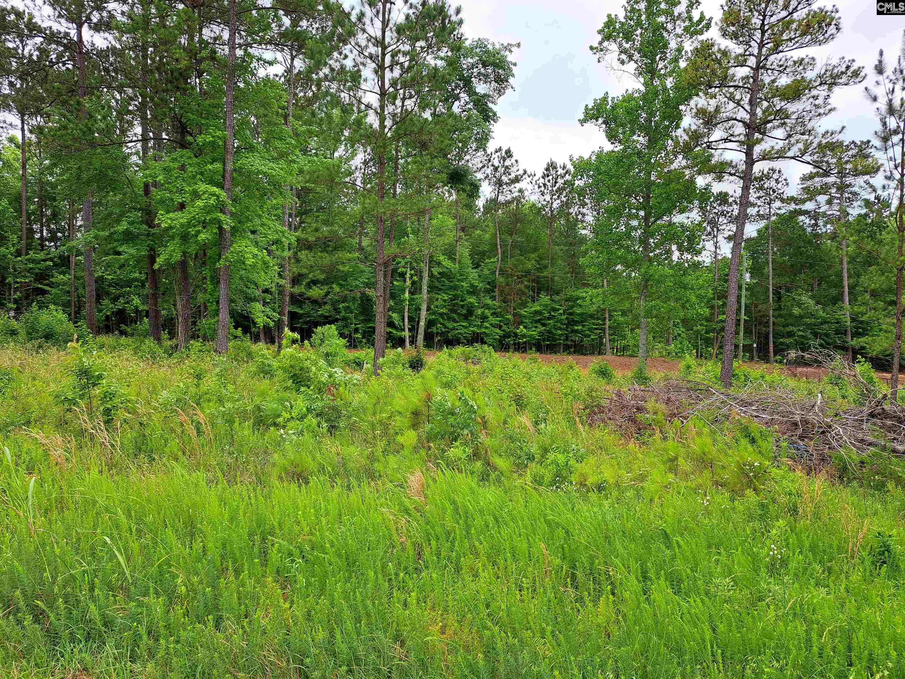 Lot #1 Longleaf Court, Ridgeway, South Carolina image 1