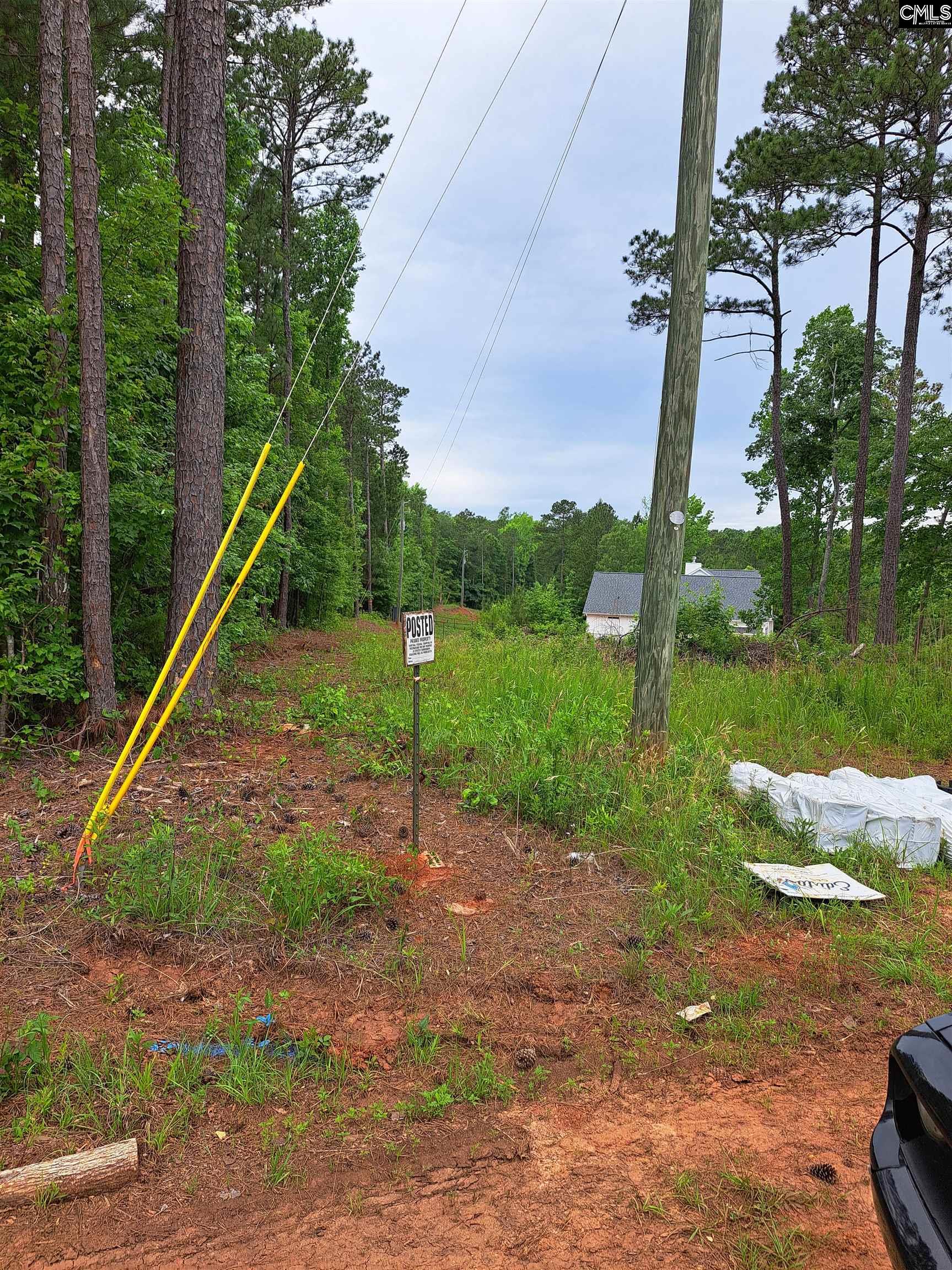 Lot #1 Longleaf Court UNIT #1 Ridgeway, SC 29130