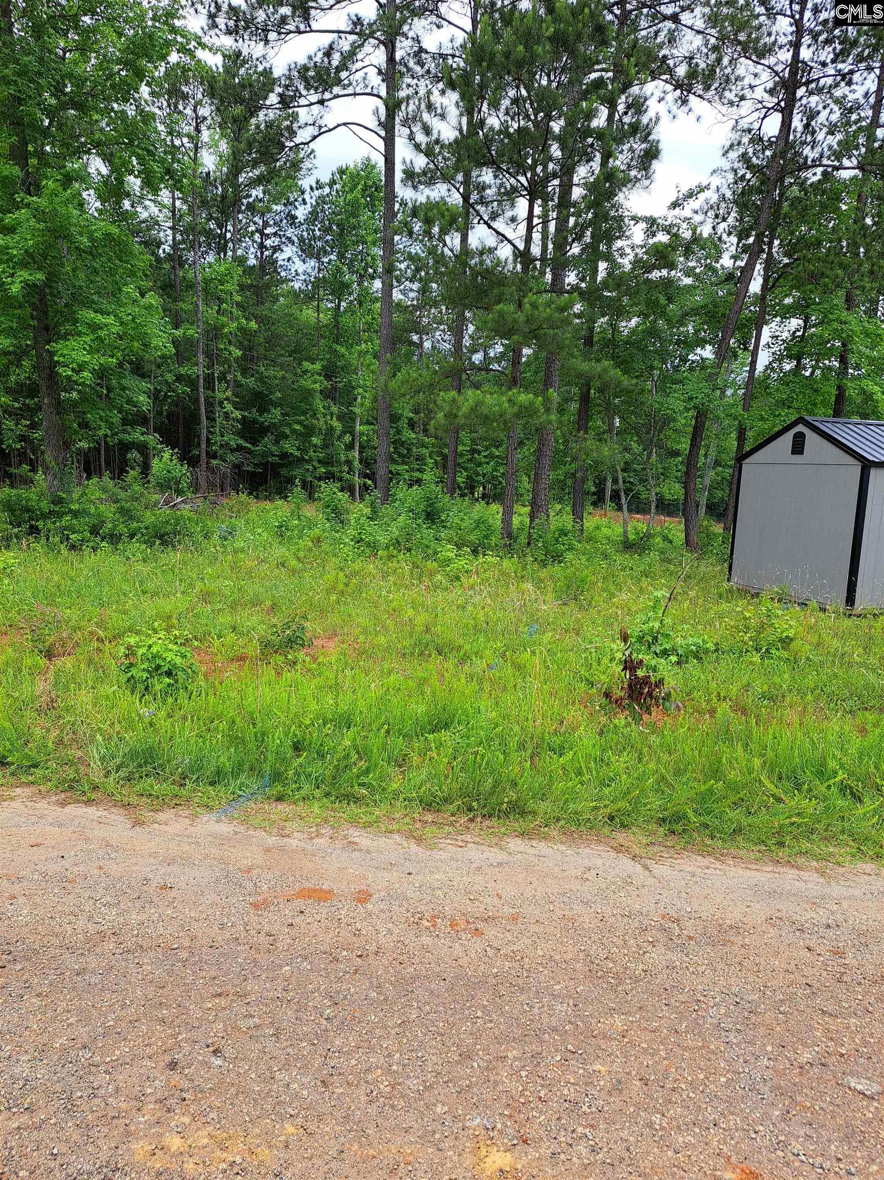Lot #1 Longleaf Court, Ridgeway, South Carolina image 11