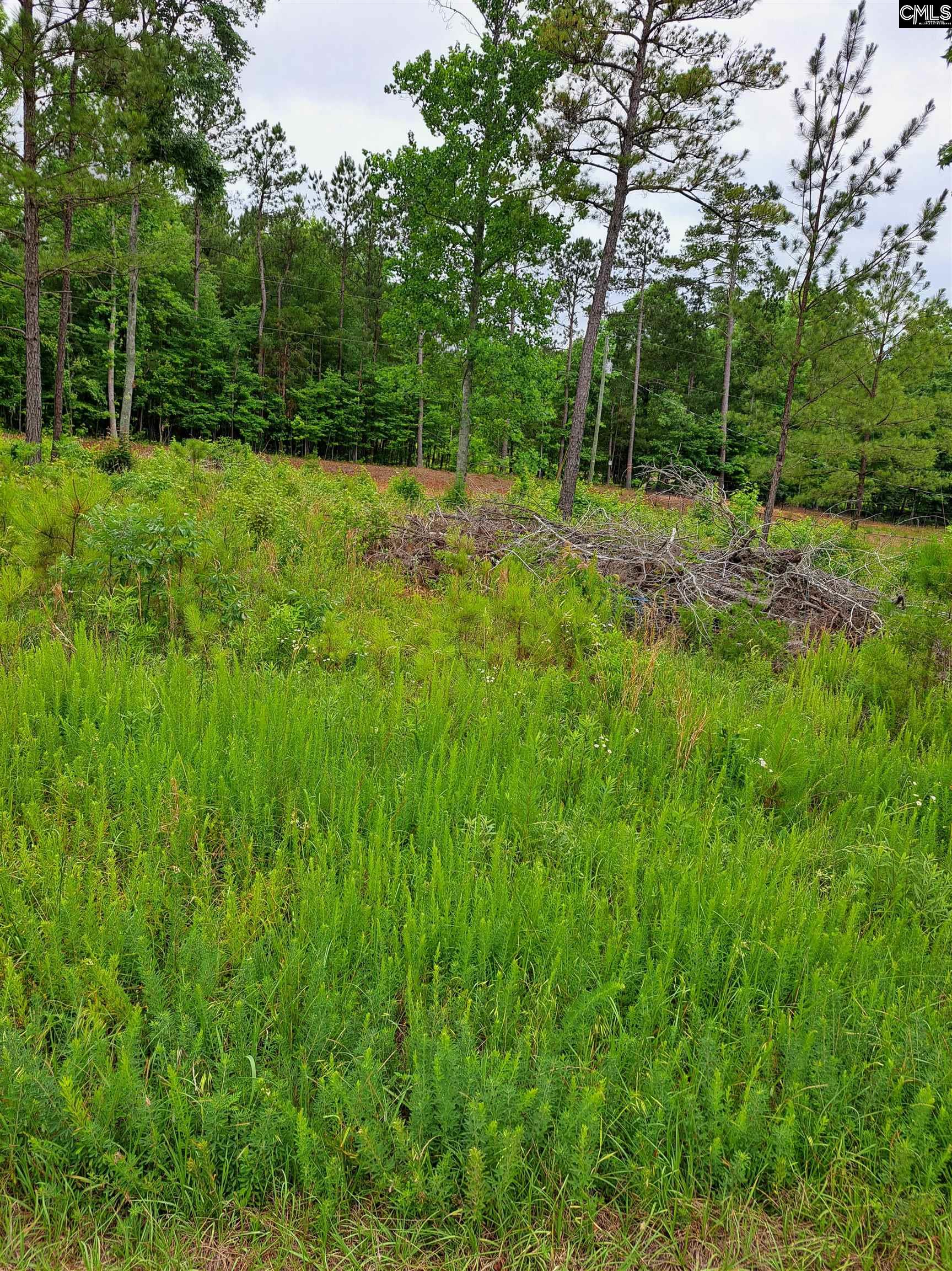 Lot #1 Longleaf Court, Ridgeway, South Carolina image 12