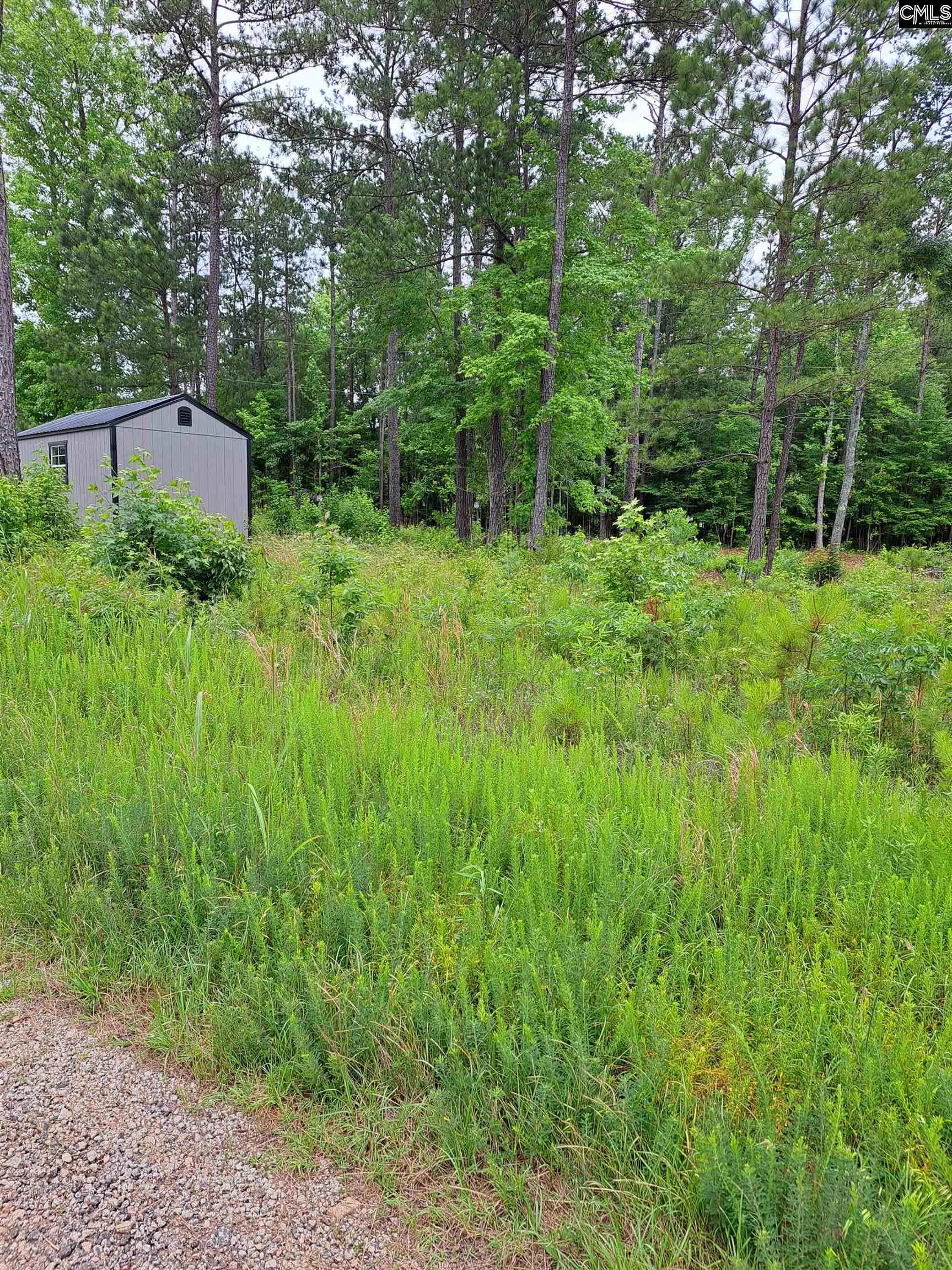 Lot #1 Longleaf Court, Ridgeway, South Carolina image 13