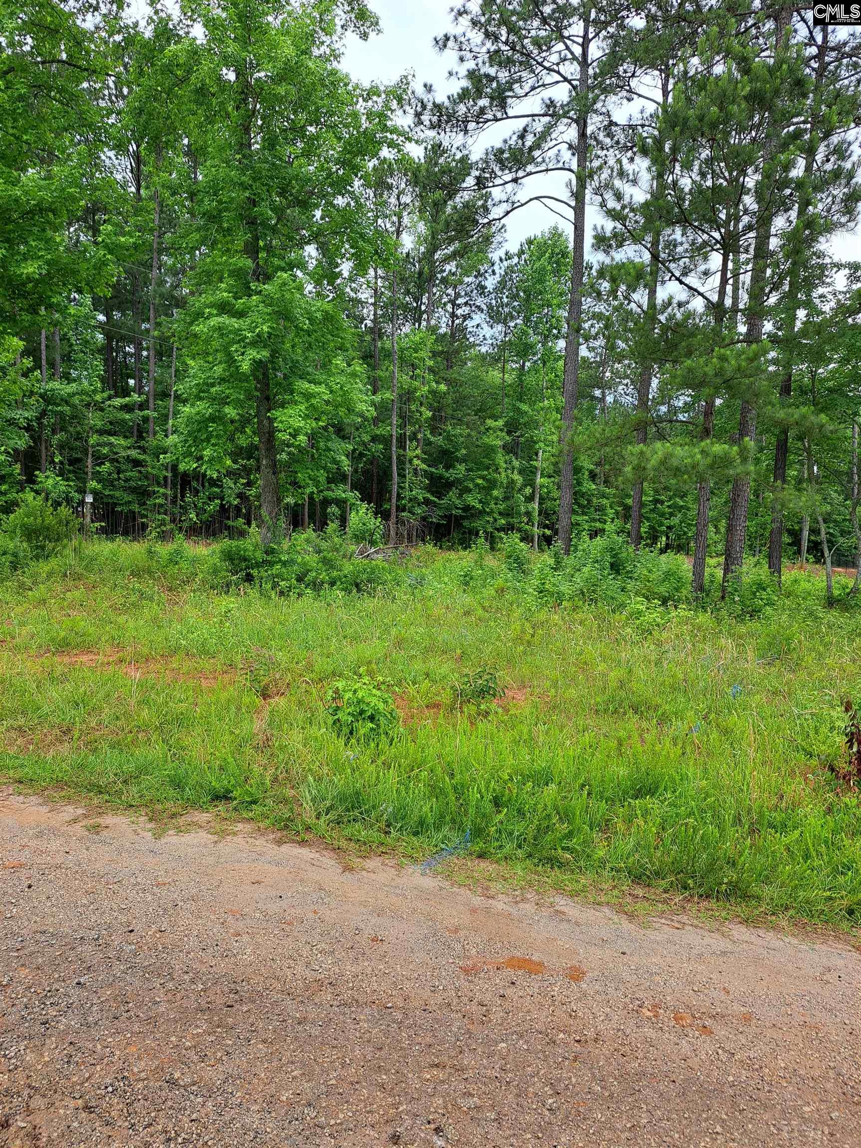 Lot #1 Longleaf Court, Ridgeway, South Carolina image 14