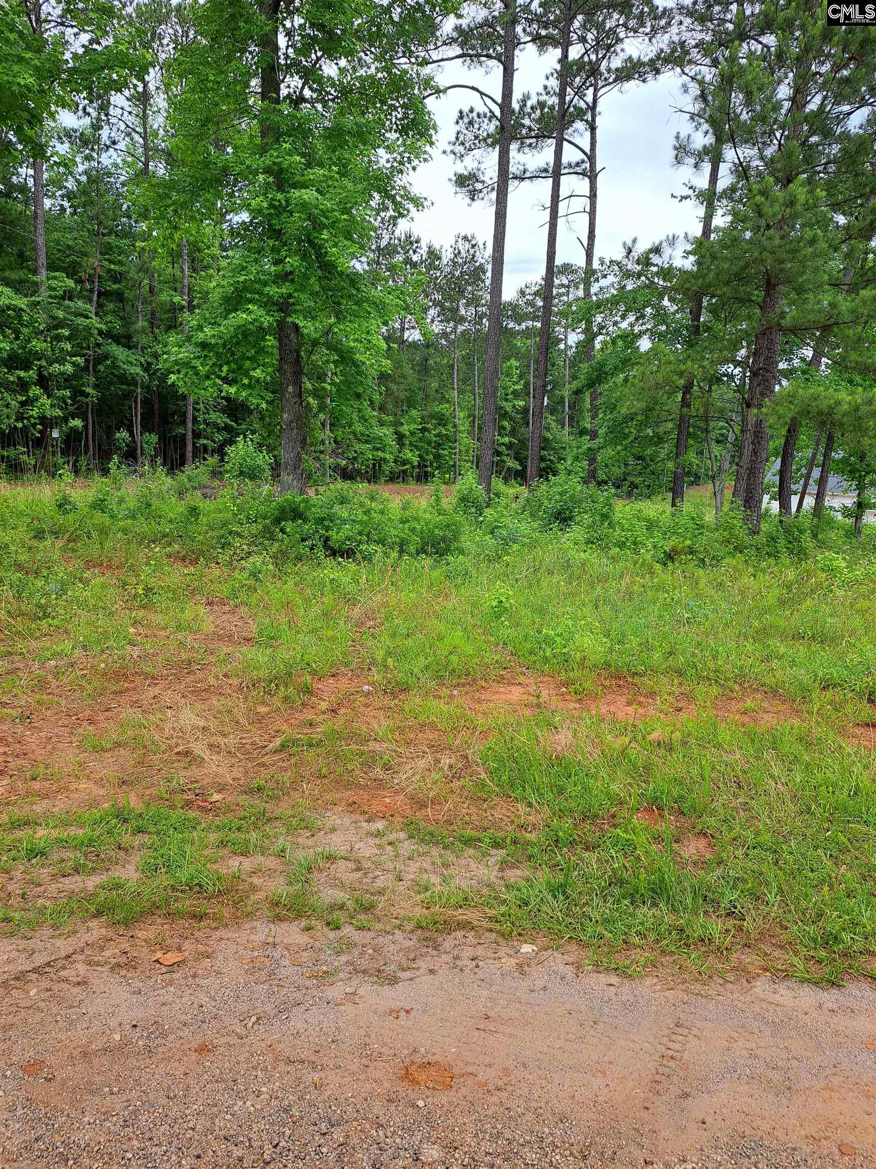Lot #1 Longleaf Court, Ridgeway, South Carolina image 15