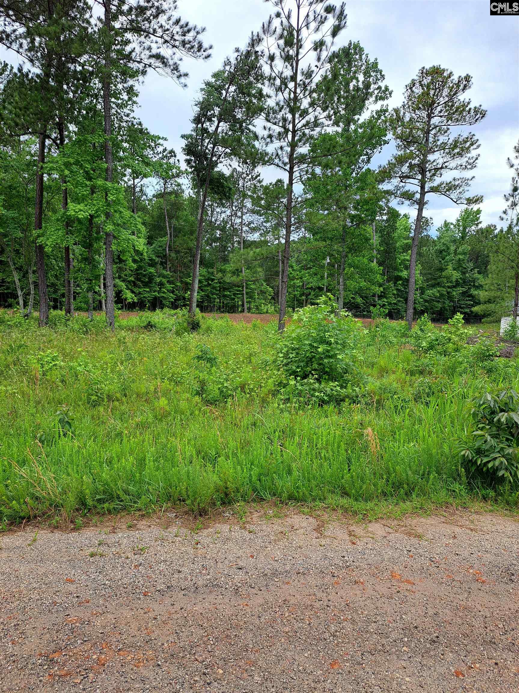Lot #1 Longleaf Court, Ridgeway, South Carolina image 16