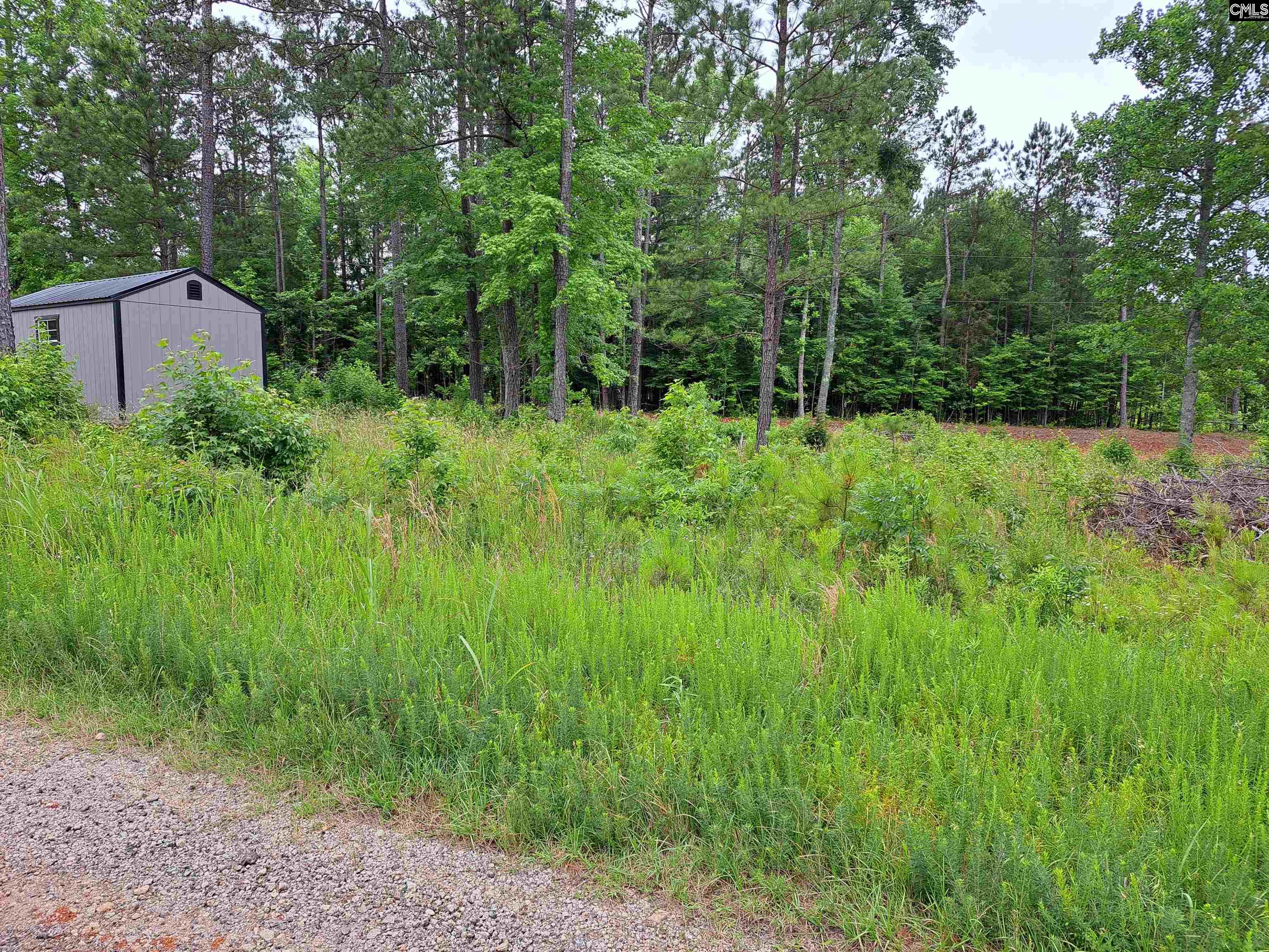 Lot #1 Longleaf Court, Ridgeway, South Carolina image 5
