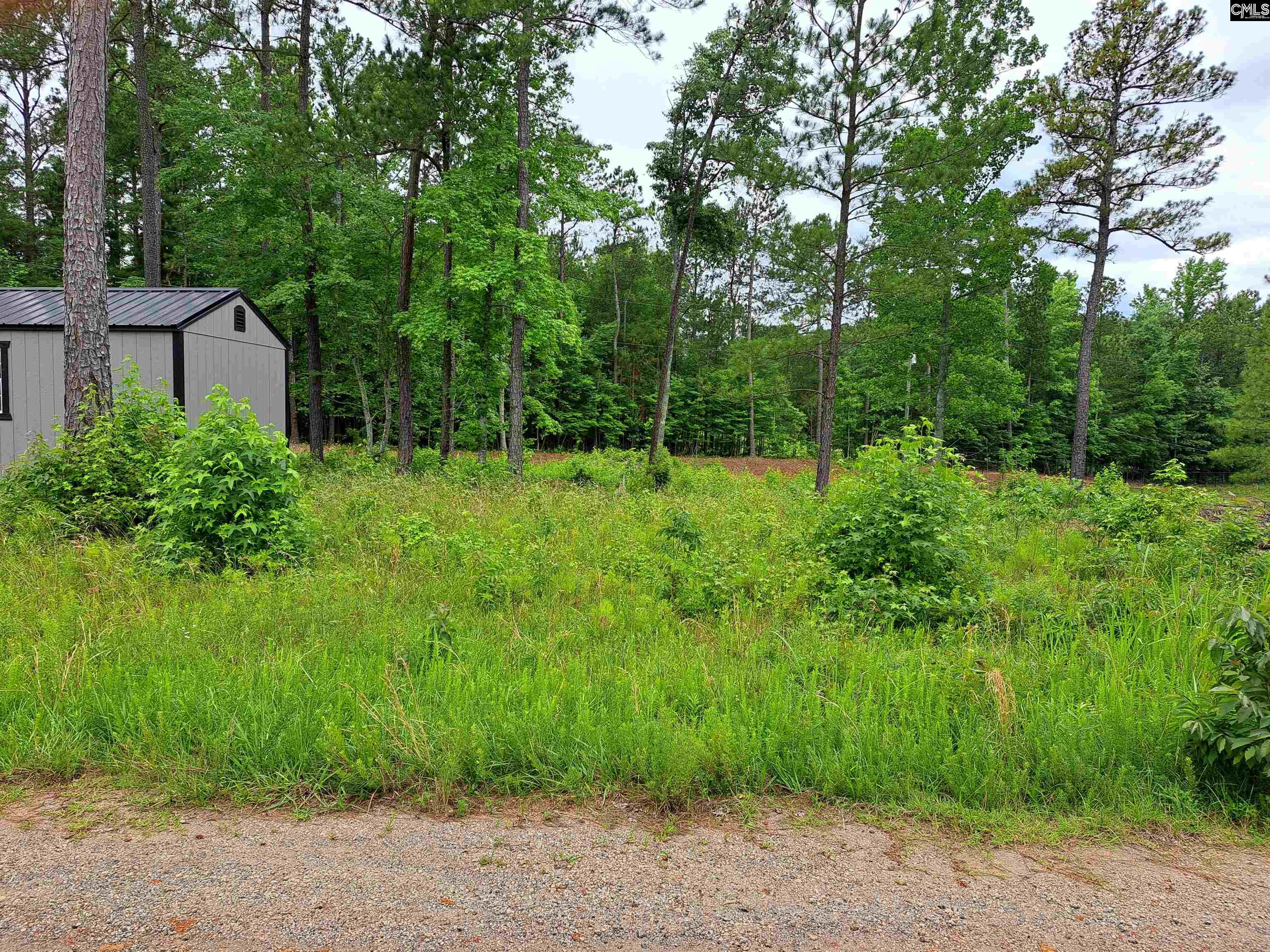 Lot #1 Longleaf Court, Ridgeway, South Carolina image 6