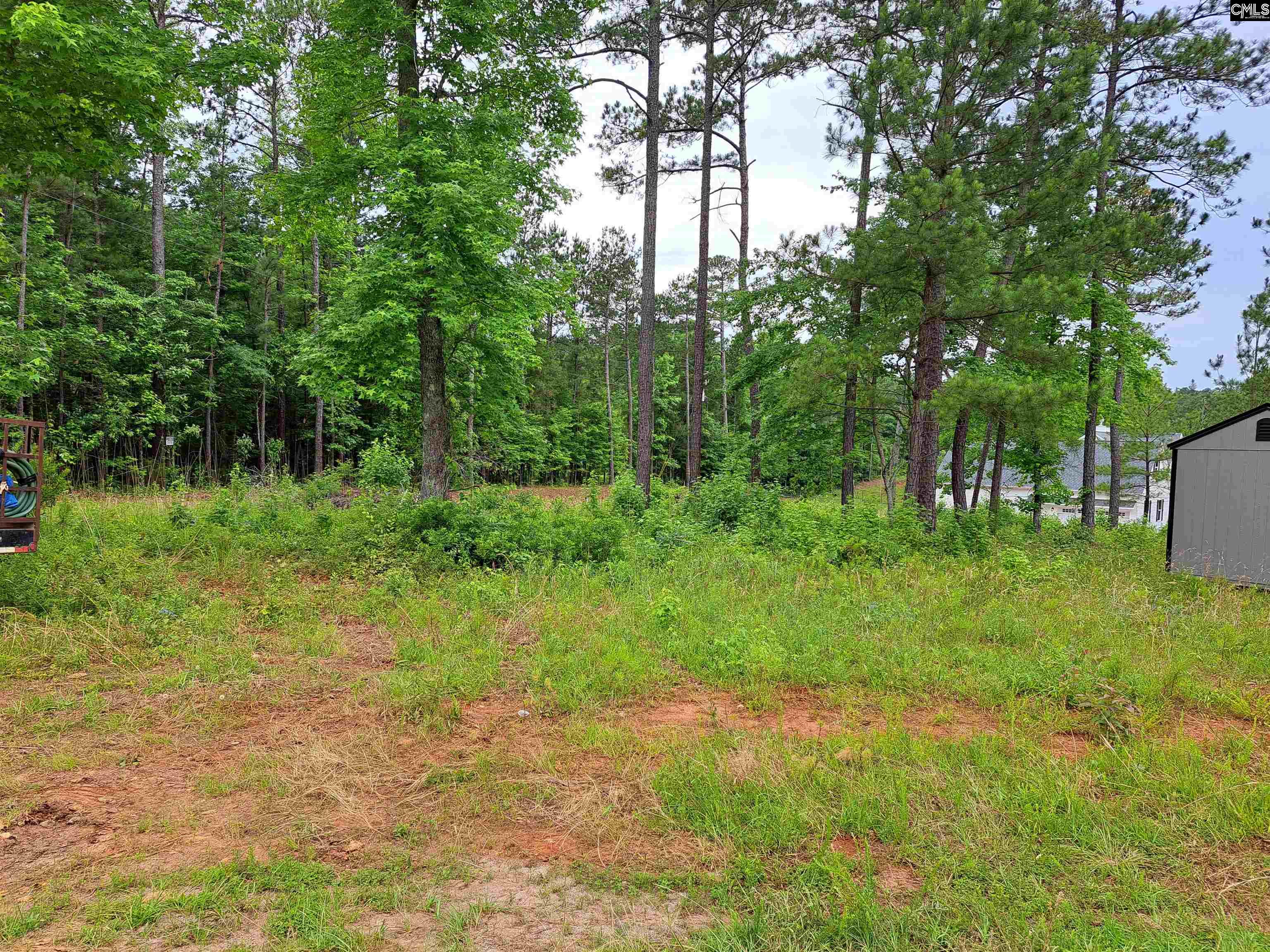 Lot #1 Longleaf Court, Ridgeway, South Carolina image 8