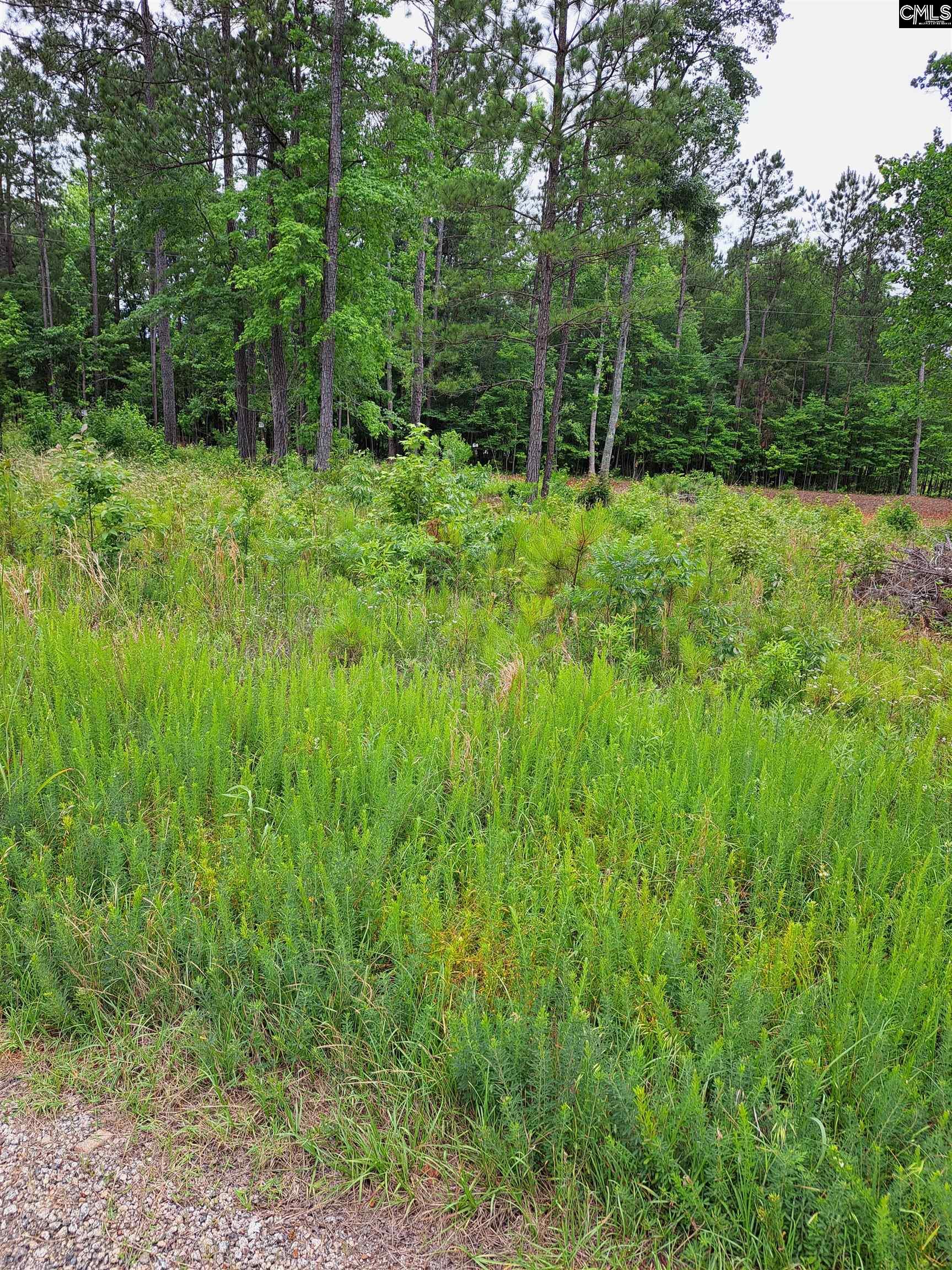 Lot #1 Longleaf Court, Ridgeway, South Carolina image 9