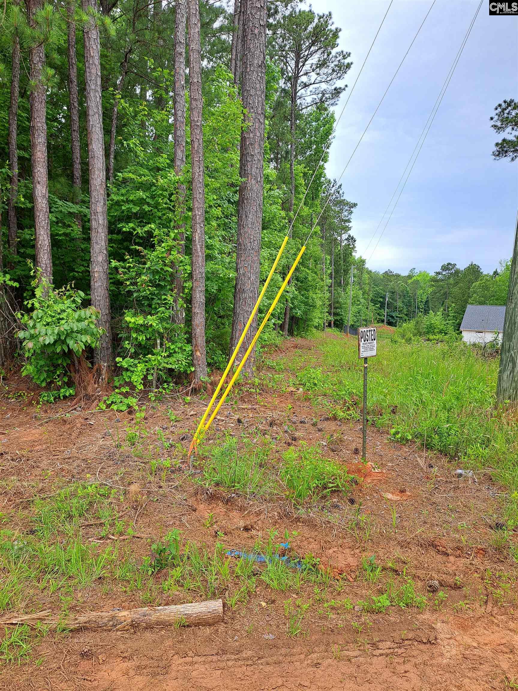 Lot #1 Longleaf Court, Ridgeway, South Carolina image 10