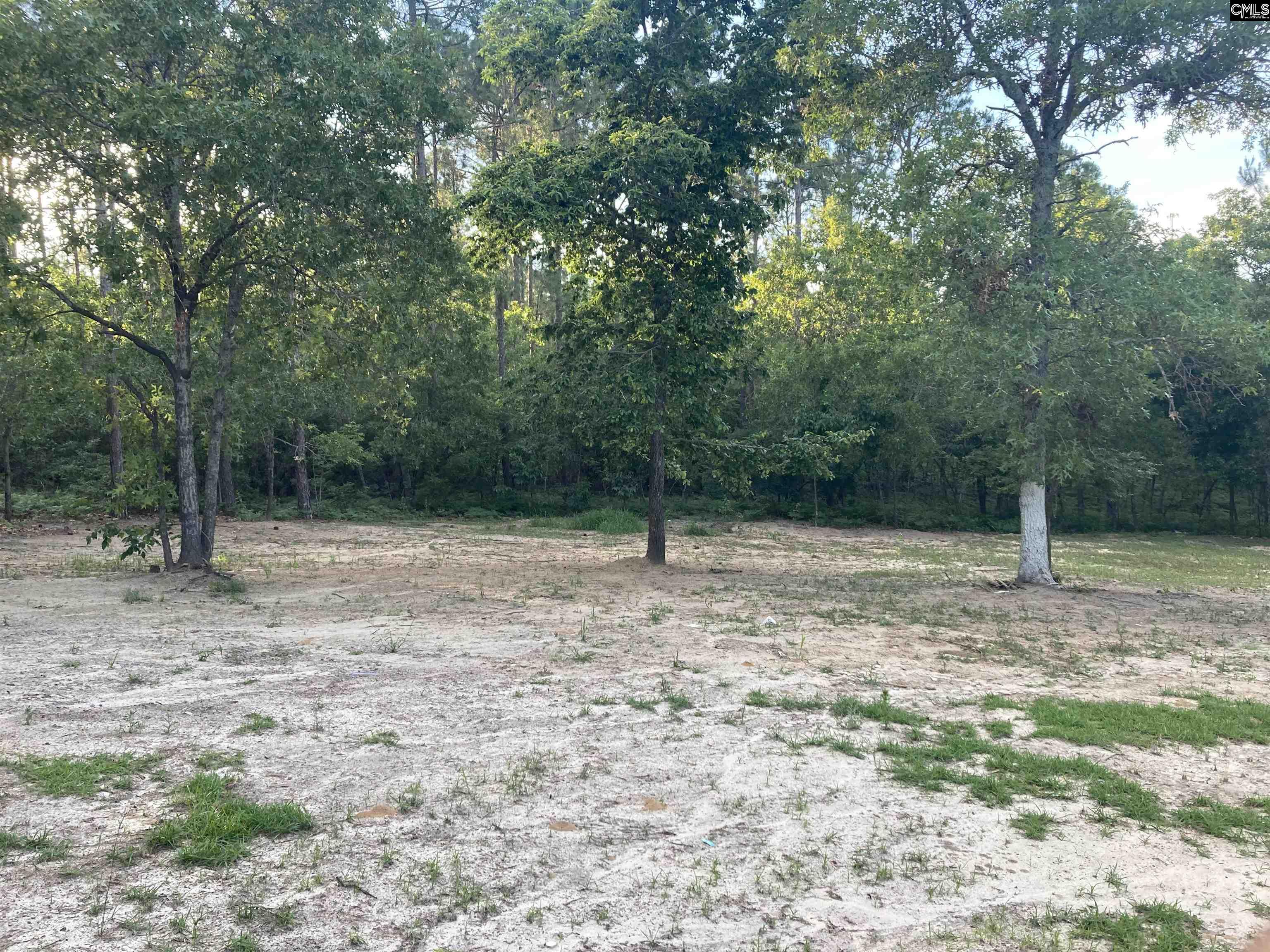 206 Par Court, Gaston, South Carolina image 22