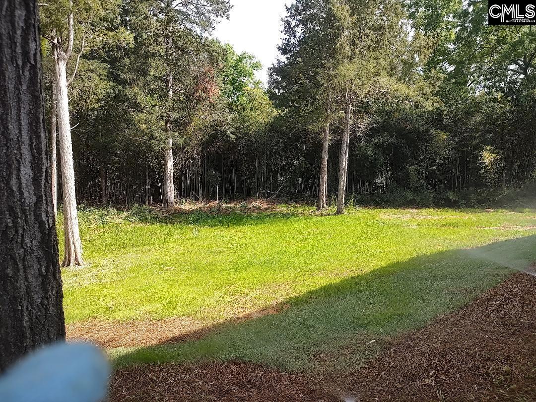 10 Saints Creek Place Irmo, SC 29063