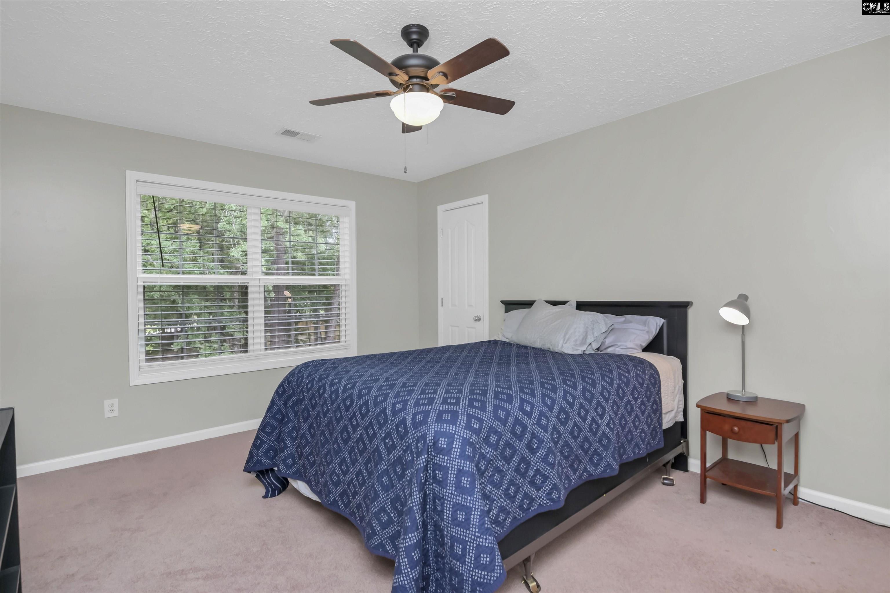 422 Staghorn Drive, Blythewood, South Carolina image 46