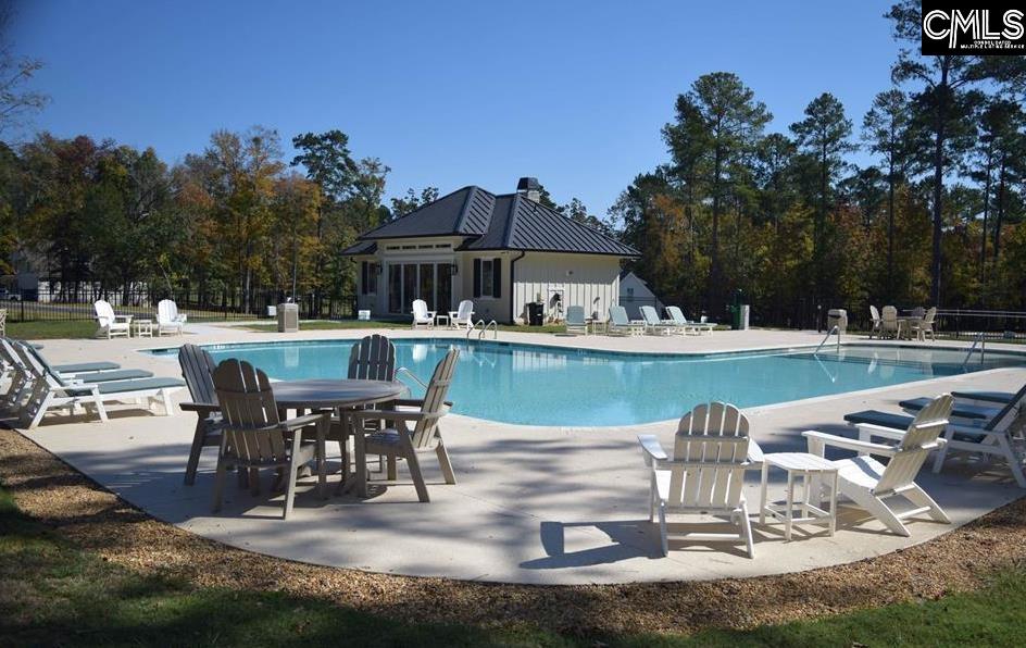 918 Salisbury Court, Chapin, South Carolina image 5