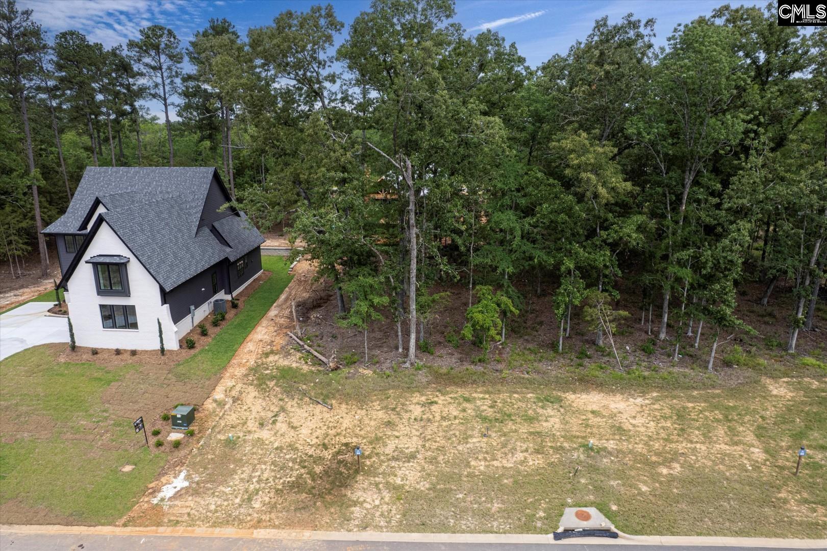 612 Misty Banks Drive, Chapin, South Carolina image 4